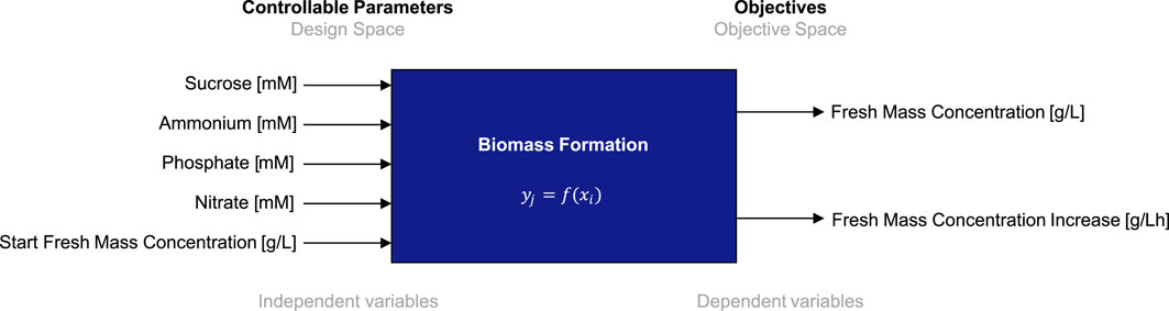 Diagram illustrating biomass formation as a process. On the left, controllable parameters in the design space include sucrose, ammonium, phosphate, nitrate, and start fresh mass concentration, all measured in respective units. These parameters act as independent variables. In the center, a blue box labeled