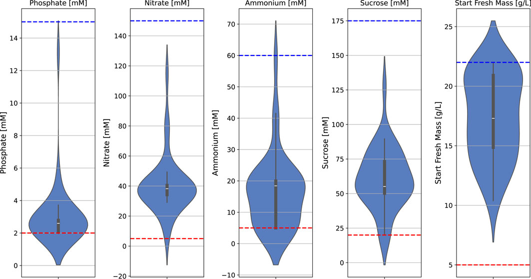 Violin plots displaying distributions for five parameters: Phosphate, Nitrate, Ammonium, Sucrose, and Start Fresh Mass. Each plot shows a spread in blue with black markers indicating median and quartiles. Dashed red lines mark lower critical levels while dashed blue lines show upper reference limits.