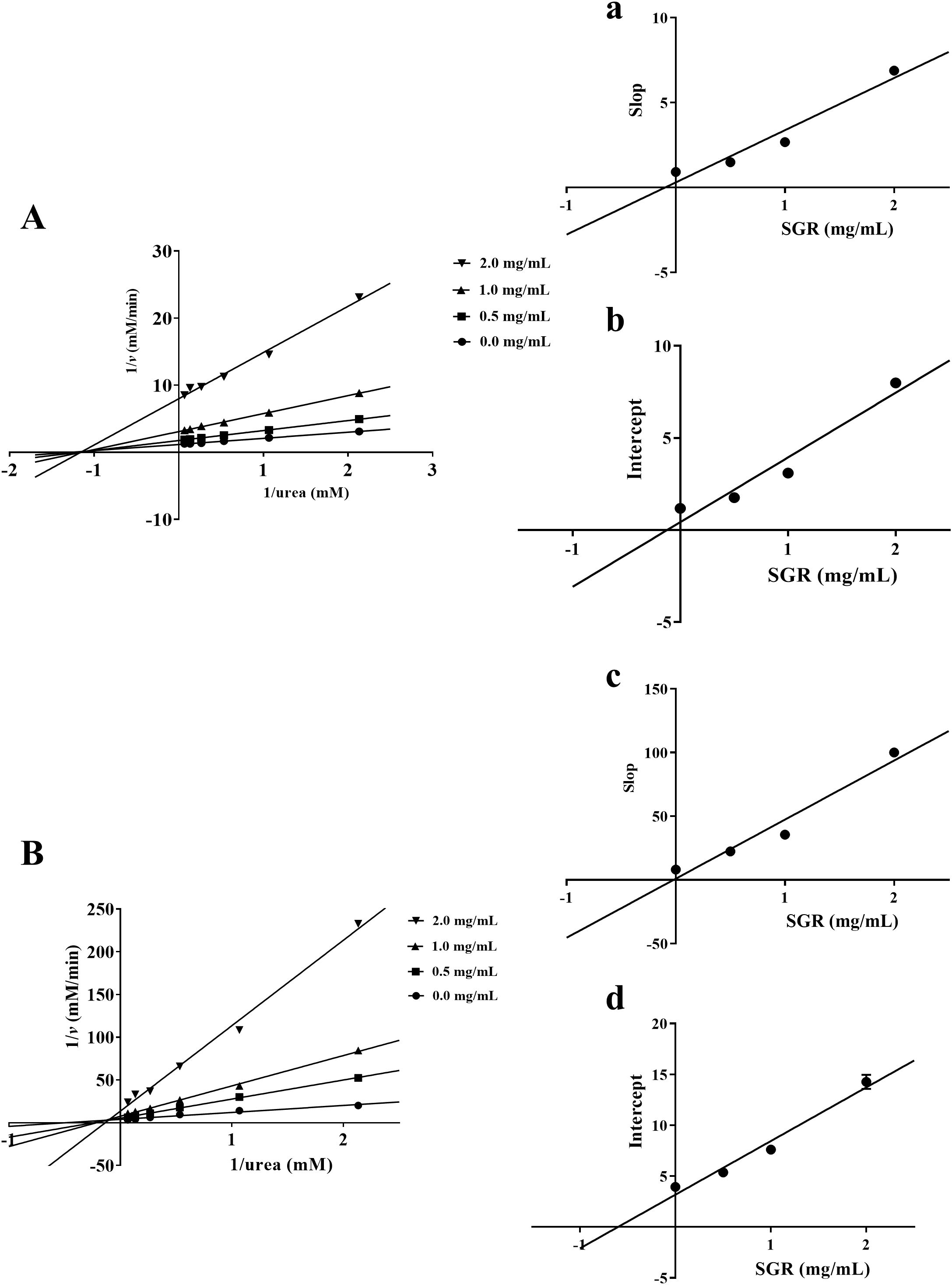 Graphs A and B depict Lineweaver-Burk plots showing different concentrations of an inhibitor affecting enzyme activity, indicated by changes in slope and intercept. Graphs a, b, c, and d display linear relationships between systematic growth rate (SGR) and slope or intercept, illustrating the effect of inhibitor concentrations. Different symbols represent varying inhibitor levels: 2.0, 1.0, 0.5, and 0.0 mg/mL.
