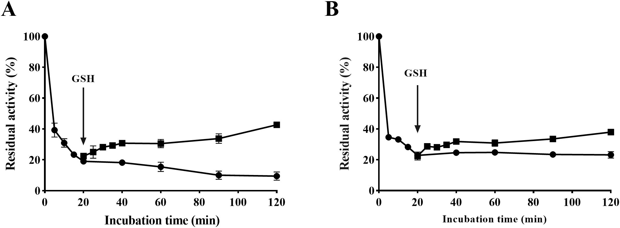 Line graphs labeled A and B display residual activity percentage over incubation time in minutes. Both graphs show that the residual activity slowly increased from 20% to approximately 40% over time after the introduction of GSH at 20 minutes of incubation. Error bars indicate variability.