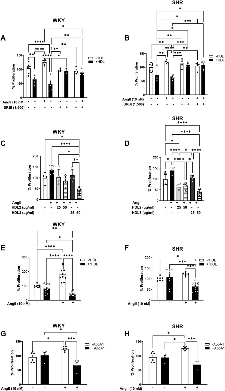 Graphs show percentage proliferation of cells under different conditions for WKY and SHR groups. Panels A and B compare effects of HDL and SR-BI. Panels C and D assess HDL2 and HDL3. Panels E and F evaluate rHDL's impact, while panels G and H test ApoA1. Statistical significance is indicated by asterisks.