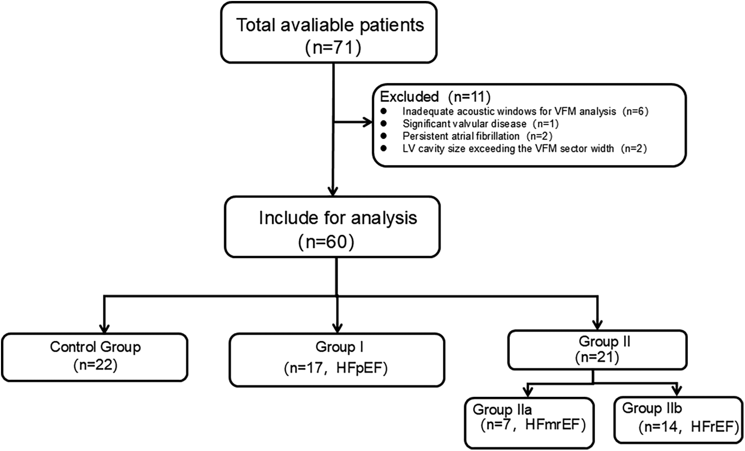 Flowchart showing patient selection for analysis. Starting with 71 patients, 11 were excluded due to factors like inadequate acoustic windows or atrial fibrillation. Sixty patients were included for analysis, divided into three groups: Control Group (22), Group I with HFpEF (17), and Group II (21). Group II is further divided into Group IIa with HFmrEF (7), and Group IIb with HFrEF (14).