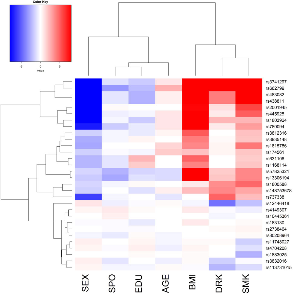 Heatmap displaying genetic markers and their association with various traits such as SEX, SPO, EDU, AGE, BMI, DRK, and SMK. Colors range from blue, indicating low values, to red, indicating high values. A dendrogram on the x-axis and y-axis shows clustering of traits and markers. A color key in the top left explains the value range from -8 to 8.