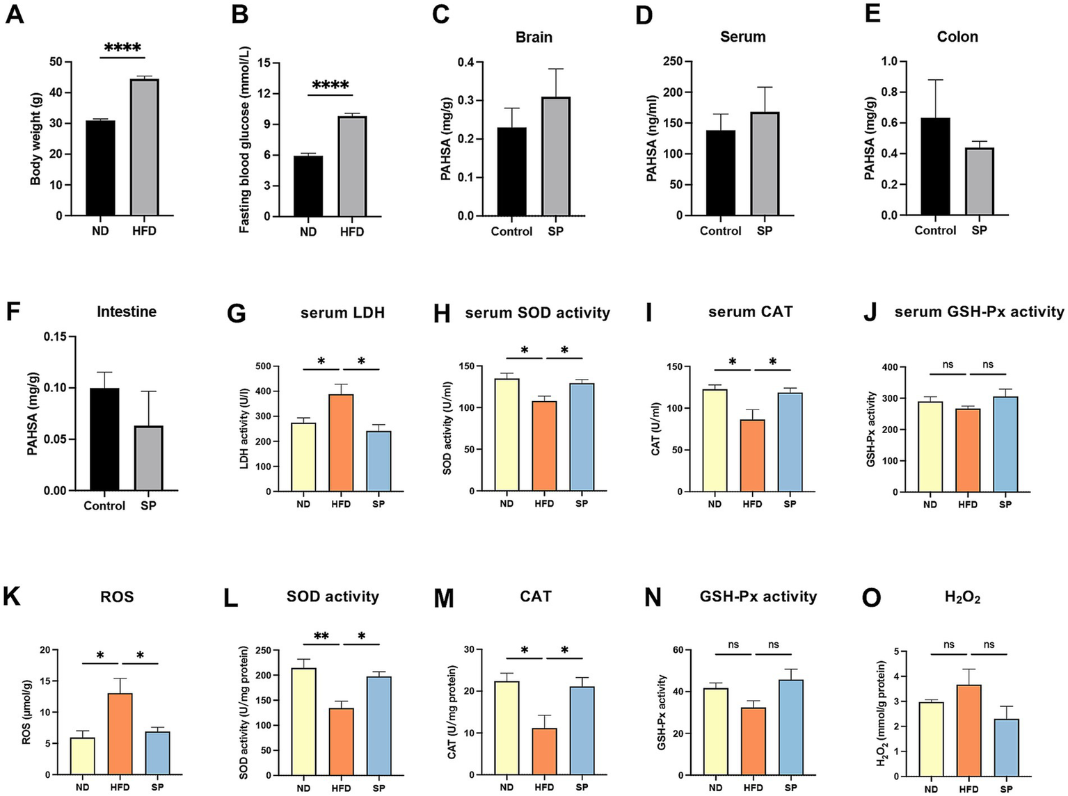 Bar graphs showing various physiological and biochemical parameters in different conditions. Graphs A and B depict higher body weight and fasting blood glucose in HFD compared to ND, with significant differences (****). Graphs C to F show PAHSA levels in brain, serum, colon, and intestine, with no significant differences between control and SP. Graphs G to J display serum LDH, SOD, CAT activity, and GSH-Px, showing significant increases in HFD for LDH, SOD, and CAT, but not GSH-Px. Graphs K to O illustrate ROS, SOD activity, CAT, and GSH-Px with significant variations, except for GSH-Px and H₂O₂, showing no significant difference. Asterisks indicate significance levels.