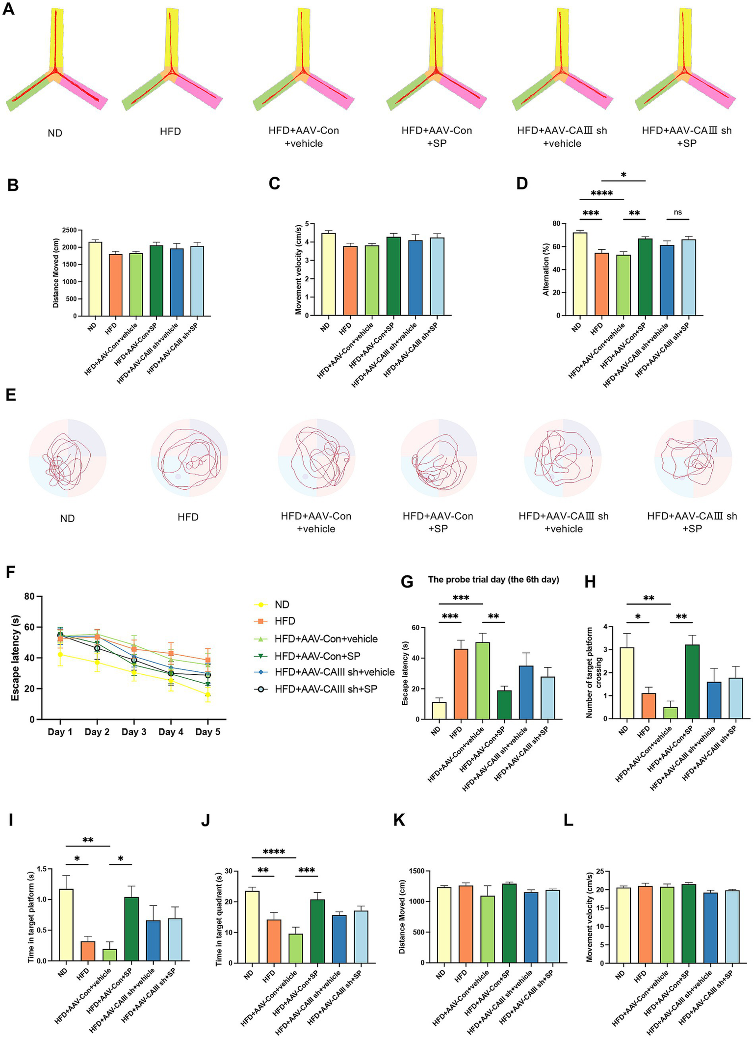 Panel A shows the traces of mice in the Y-maze from different groups, including ND, HFD, and other treatment combinations. Panels B, C, and D present bar graphs, illustrating distance moved, movement velocity, and alternation percentage in the Y maze test, respectively, across various conditions, with statistical significance indicated. Panel E contains trajectory plots for each condition in the MWM test. Panel F shows a line graph of escape latency over five days. Panels G through L display bar graphs with data on escape latency, number of target platform crossings, time in target platform, and distance moved, with significance levels indicated.
