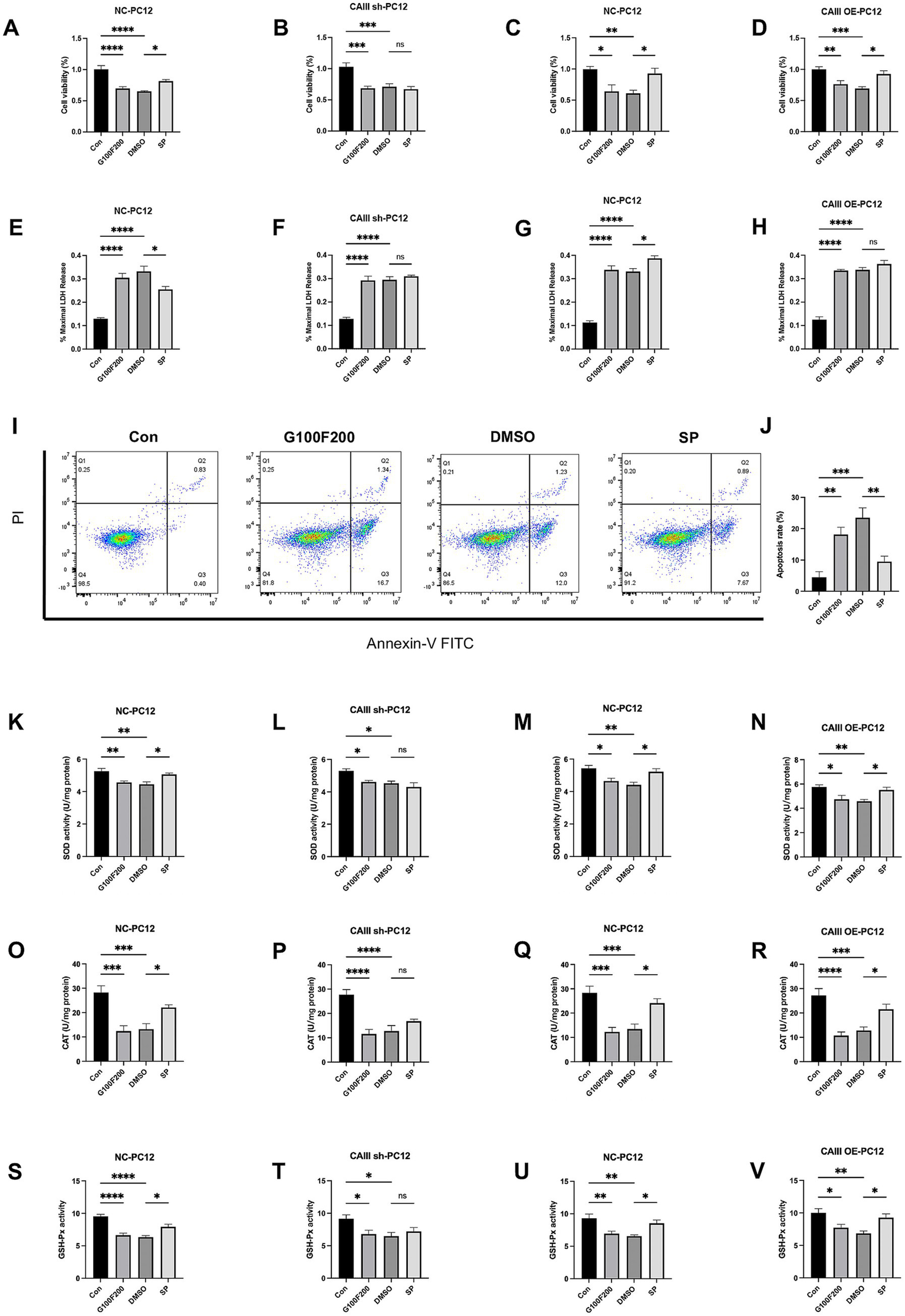 Graphs displaying data on cell viability, DNA release, apoptosis, and enzyme activity (SOD, CAT, GSH-Px) in various PC12 cell treatments: Con, G100F200, DMSO, and SP. Significant differences are indicated with asterisks. Flow cytometry plots in panel I show Annexin-V and PI staining for apoptosis analysis.