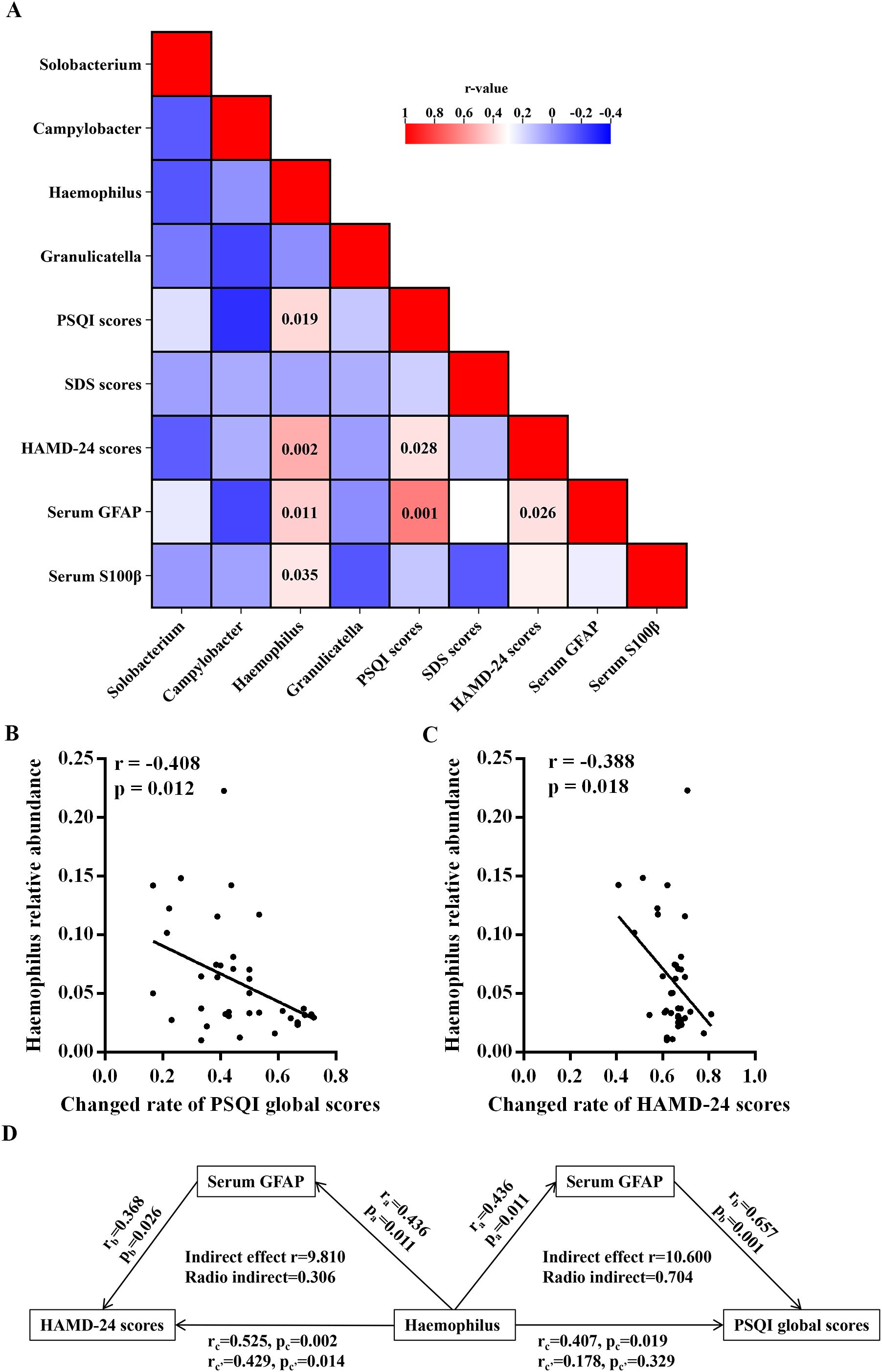 Panel A shows a heat map of correlations with r-values for bacterial genera and clinical scores, indicating significant correlations in red and blue. Panels B and C present scatter plots showing negative correlations between Haemophilus relative abundance and changes in PSQI global scores and HAMD-24 scores, respectively, with correlation coefficients and p-values. Panel D illustrates pathways with correlation coefficients and indirect effects linking HAMD-24 scores, serum GFAP, Haemophilus, and PSQI global scores.
