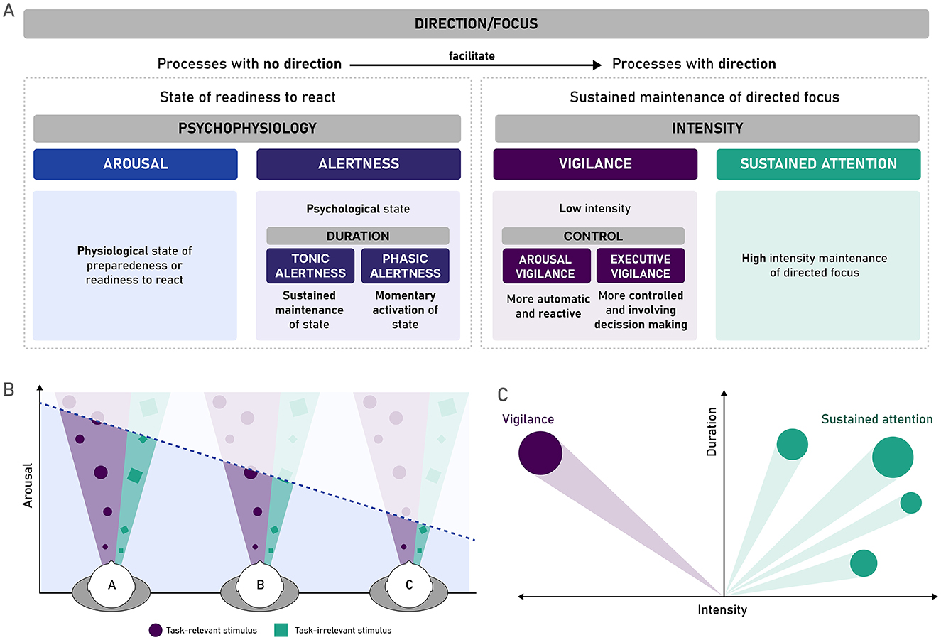 Section A shows a diagram illustrating how arousal, alertness, vigilance, and sustained attention can be differentiated. Direction/Focus differentiates “Processes with no direction” (arousal, alertness) and “Processes with direction” (vigilance, sustained attention). Arousal is a physiological state, alertness (a psychological state) is divided into tonic (sustained) and phasic (momentary). Vigilance requires lower intensity and involves arousal vigilance (low control) and executive vigilance (high control). Sustained attention requires a high-intensity focus. Section B shows how intermediate levels of arousal facilitate the input of an adequate proportion of task-relevant and task-irrelevant stimuli. Section C presents a graph plotting vigilance and sustained attention as opposite aspects on an intensity spectrum.