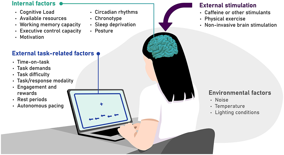 Illustration of a person working on a computer with various factors affecting performance: Internal factors like cognitive load and motivation; external task-related factors like task difficulty and time-on-task; external stimulation such as non-invasive brain stimulation; and environmental factors like noise and lighting conditions. The brain is highlighted to emphasize how internal factors and external stimulation are related more directly to it.