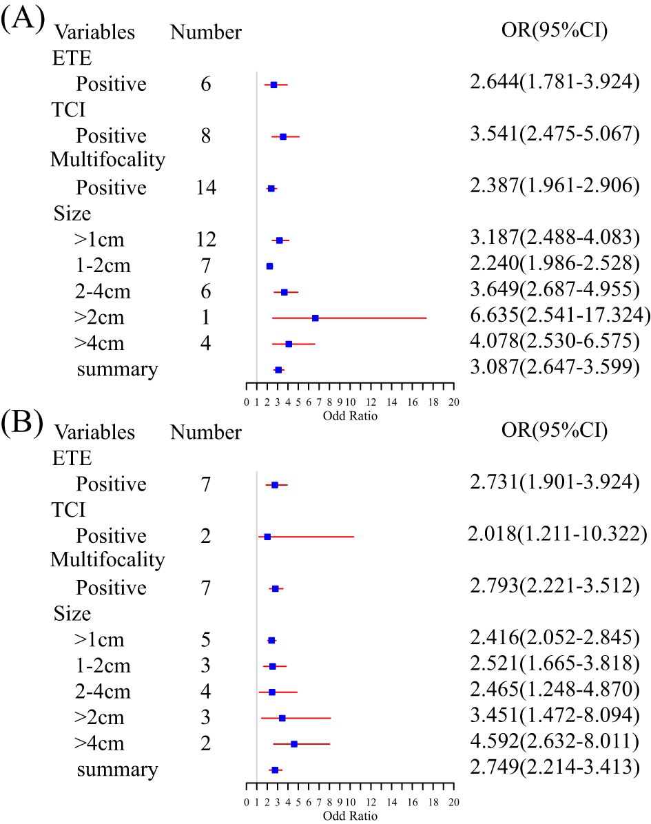 Forest plots showing odds ratios (OR) with confidence intervals (CI) for various variables, including ETE, TCI, multifocality, and size categories, in two sections (A) and (B). Each plot presents the number of observations and corresponding OR(CI) values on the right. Red horizontal lines indicate the CI range, and blue squares show the OR values.