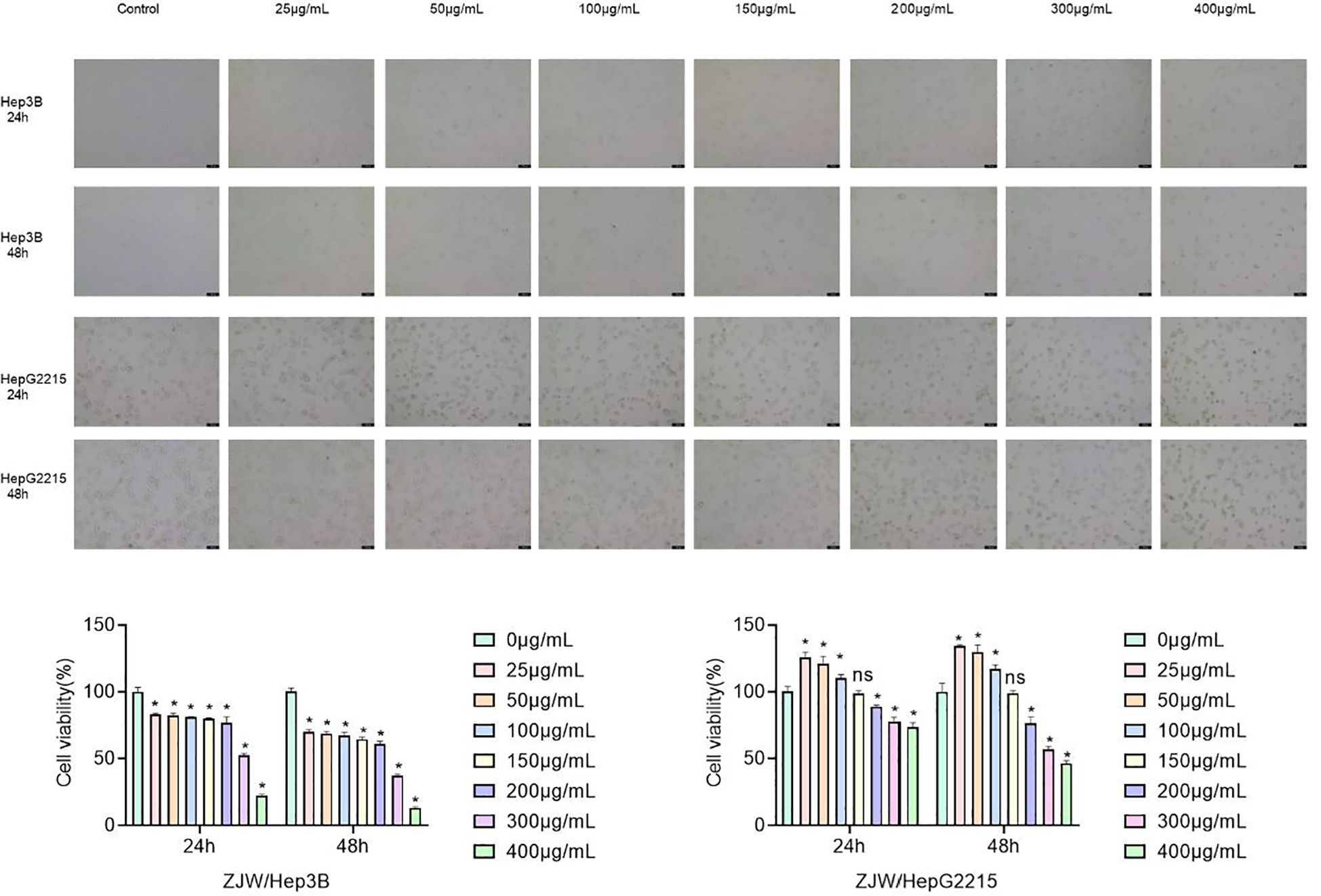 Panel A shows microscopic images of Hep3B and HepG2.2.15 cells treated with various concentrations of a substance at 24 and 48 hours. Panel B presents bar graphs of cell viability percentages for both cell types at different concentrations and time points, color-coded and marked with significance stars.