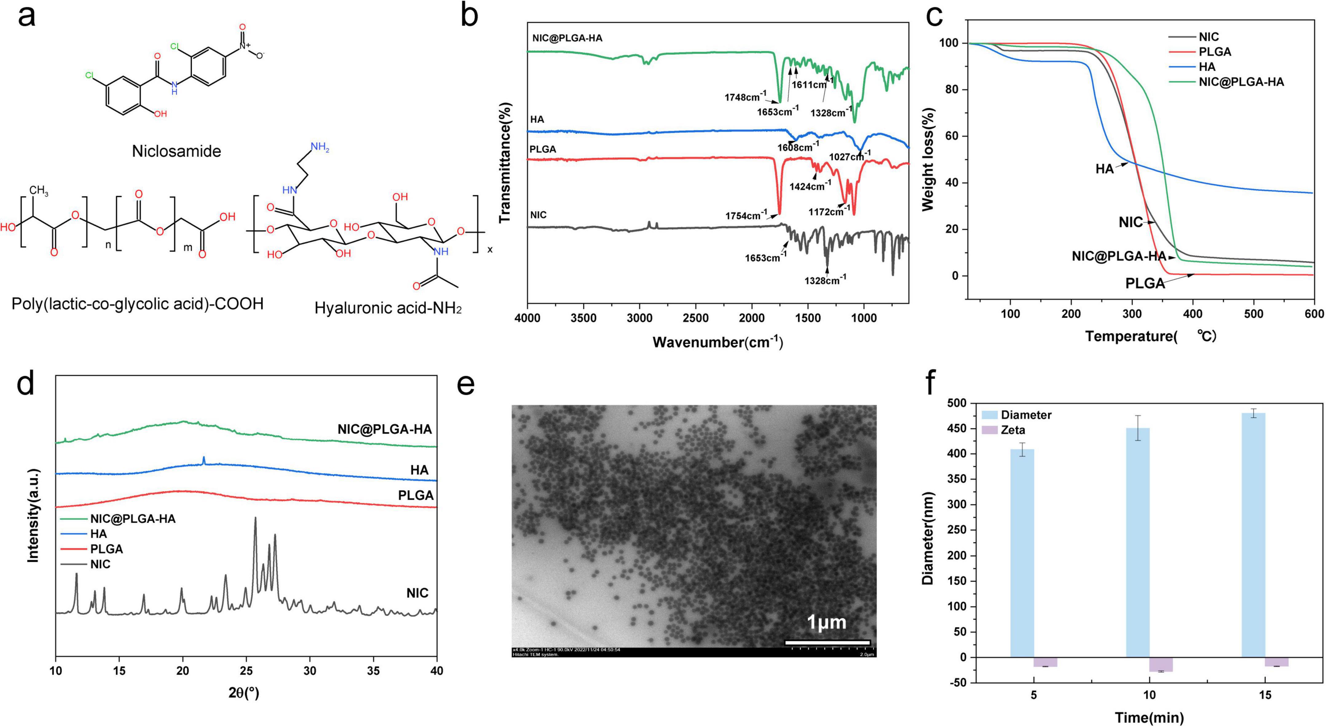 (a) Chemical structures of niclosamide, poly(lactic-co-glycolic acid)-COOH, and hyaluronic acid-NH2. (b) FTIR spectra comparing NIC@PLGA-HA, HA, PLGA, and NIC. (c) TGA graph showing weight loss of NIC, PLGA, HA, and NIC@PLGA-HA with temperature. (d) XRD patterns for NIC, PLGA, HA, and NIC@PLGA-HA. (e) TEM image of NIC@PLGA-HA nanoparticles, scale bar 1 micrometer. (f) Bar graph showing nanoparticle diameter and zeta potential over time, with diameter in blue and zeta in purple.