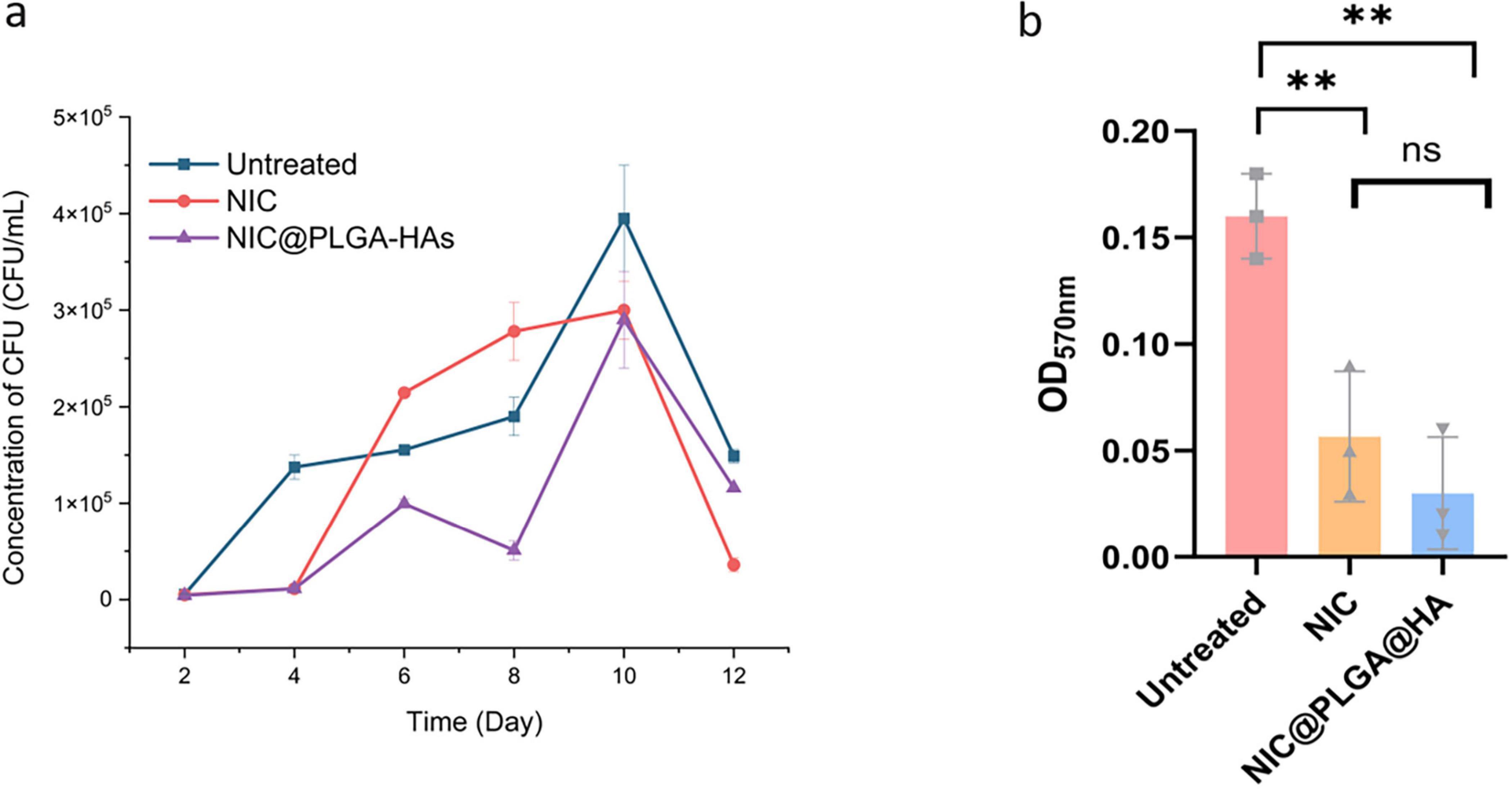 Graph (a) shows CFU concentration over 14 days for untreated, NIC, and NIC@PLGA-HAs, with NIC@PLGA-HAs reducing CFU after day 6. Bar chart (b) compares OD570nm, indicating NIC and NIC@PLGA-HAs significantly reduce OD compared to untreated.