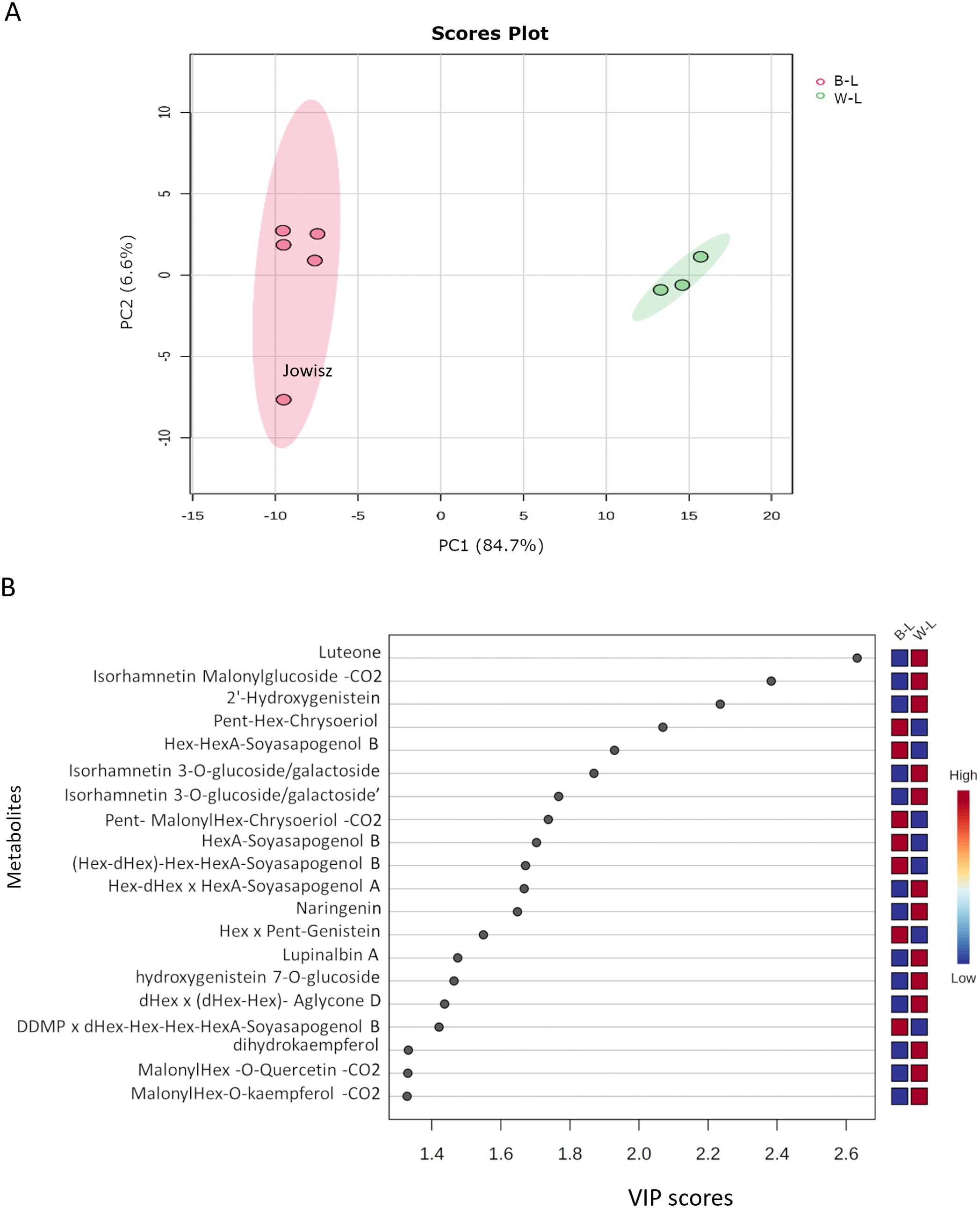 Scores plot and VIP scores graph. (A) A scores plot showing two groups: B-L in red and W-L in green along principal components PC1 (eighty-four point seven percent) and PC2 (six point six percent), with labeled cluster Jowisz. (B) A graph of VIP scores for various metabolites, indicating significance, with a heat map showing B-L and W-L contributions.
