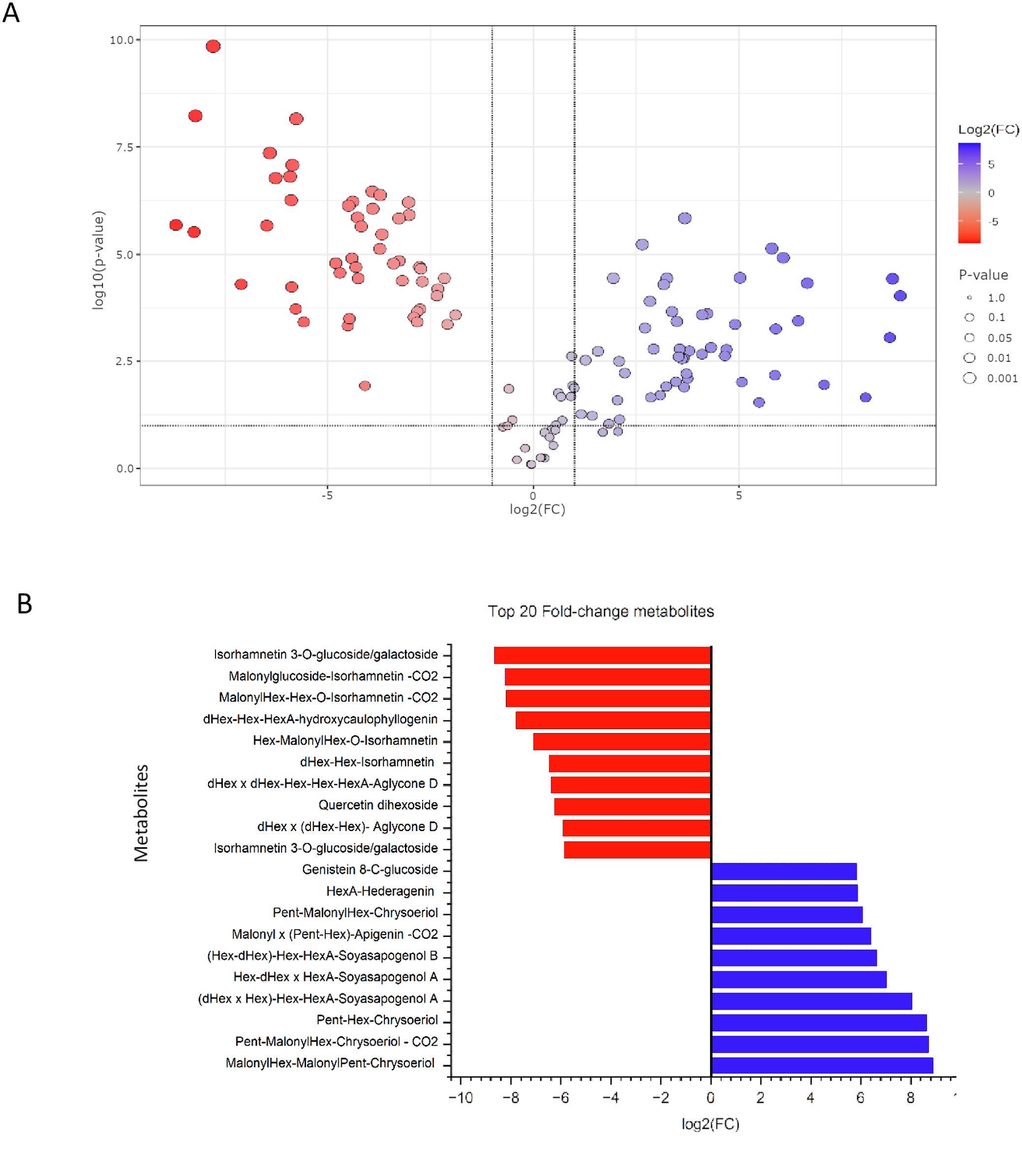 Panel A shows a scatter plot with points colored from red to blue, indicating log2 fold change (FC) with the y-axis representing log10 p-values. Points are sized by p-value significance. Panel B displays a bar chart of the top twenty fold-change metabolites, with red bars indicating negative log2(FC) and blue bars indicating positive log2(FC). Metabolite names are listed on the y-axis.