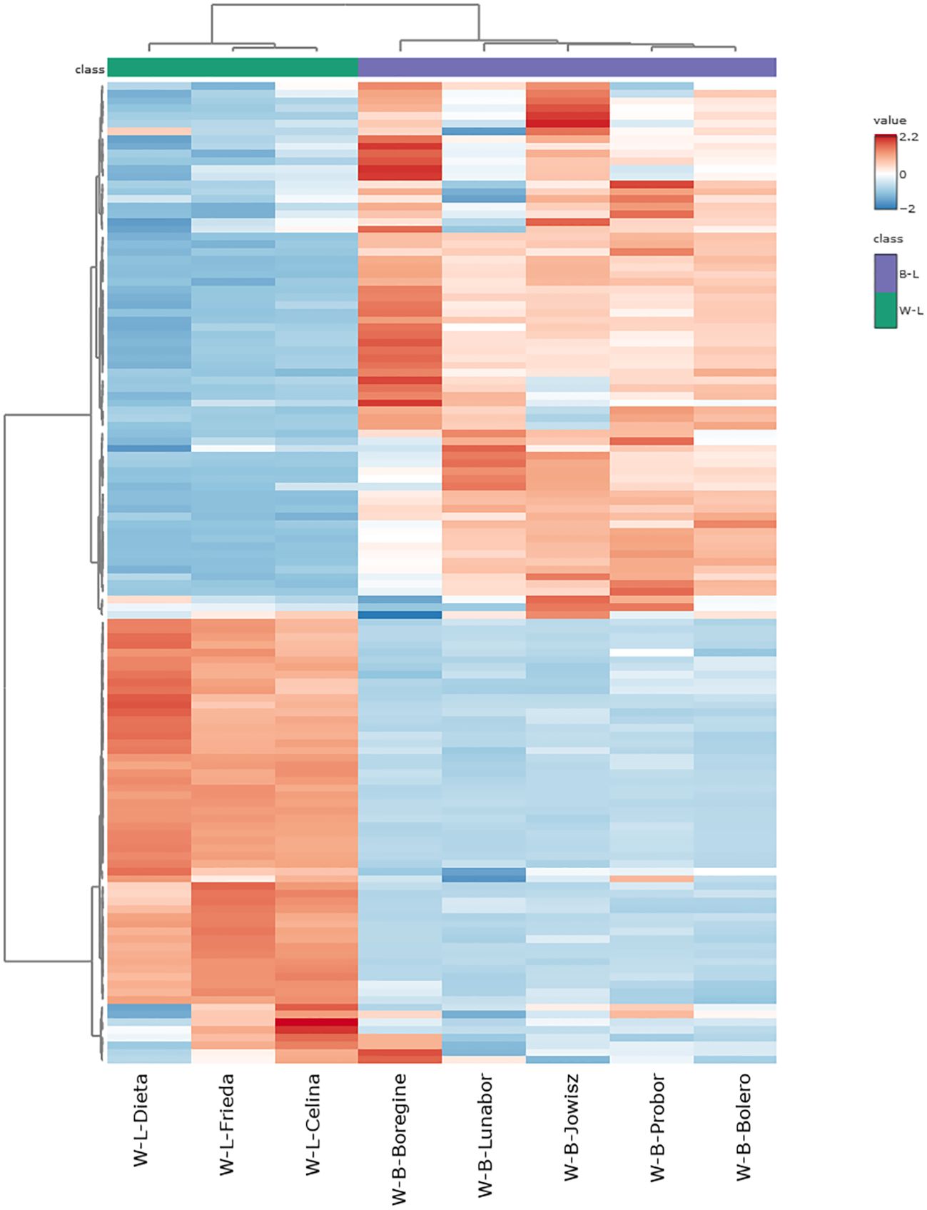 Heatmap displaying data clusters with a color gradient from blue to red, indicating values from negative two to 2.2. Rows and columns are labeled, with two classes marked: B-L and W-L.