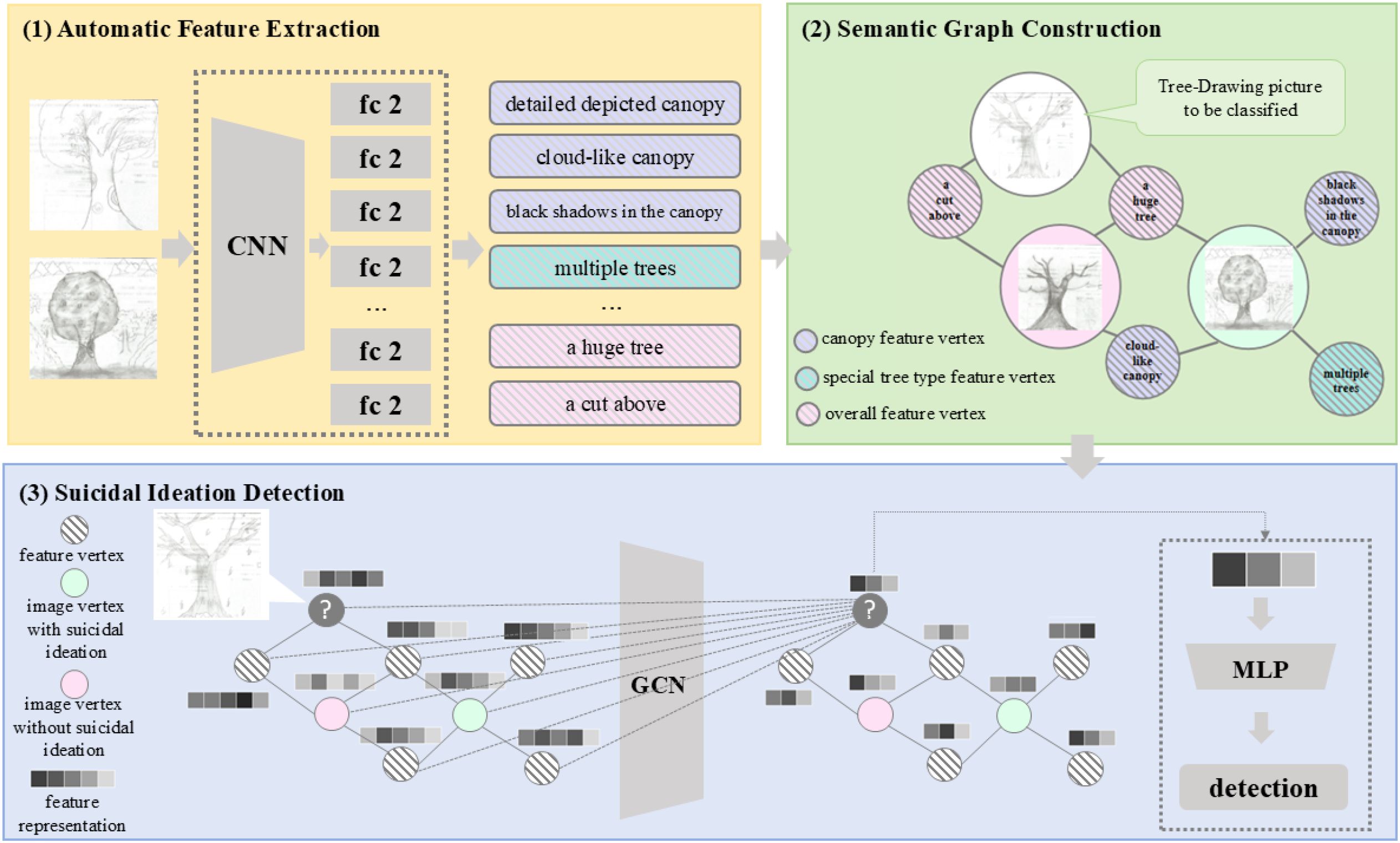 Flowchart depicting a three-step process for analyzing tree drawings to detect suicidal ideation. Step 1: Automatic feature extraction using CNN, identifying characteristics like canopy details. Step 2: Constructs semantic graphs with categorized features. Step 3: Employs GCN for suicidal ideation detection, using image vertices and feature representation leading to an MLP for final detection.