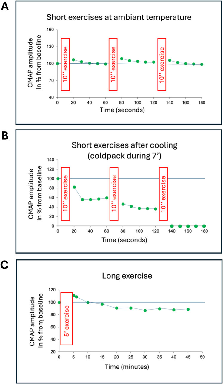 Graphs illustrating CMAP amplitude changes during exercises. Panel A: Short exercises at ambient temperature show stable amplitudes around 100% over 180 seconds. Panel B: Short exercises after cooling show a significant decrease in amplitude post-10-second exercises, reaching 0% from 120 seconds onward. Panel C: Long exercises over 5 minutes exhibit a gradual, non significant decline in amplitude from 100% to approximately 80% over a period of 40 minutes.