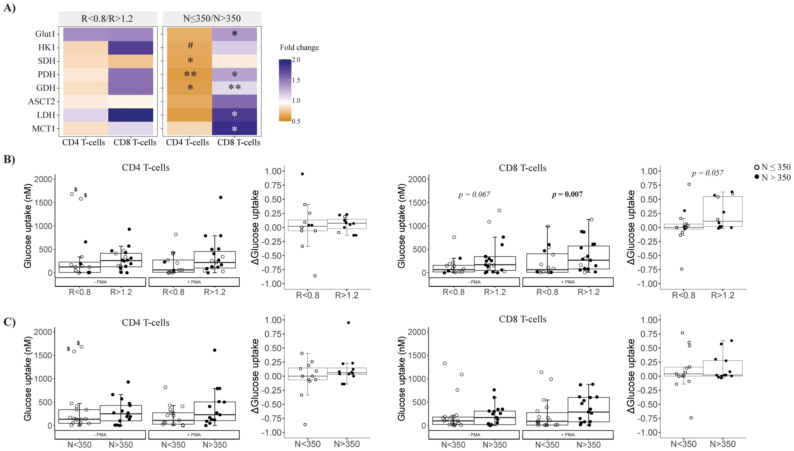 Heatmap and box plots illustrating T-cell glucose metabolism. Panel A shows a heatmap of relative protein expression in CD4 and CD8 T-cells by fold change, with color indicating low to high expression. Panels B and C present box plots of glucose uptake in CD4 and CD8 T-cells under different conditions, indicating significant differences with markers and p-values.