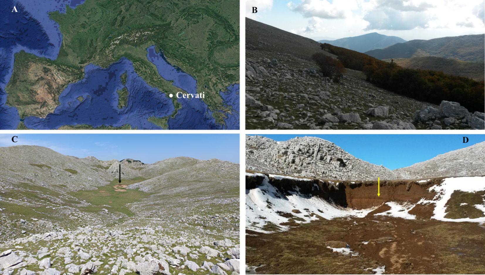 A composite of four images labeled A to D. A: Satellite map highlighting the location of Cervati in Europe. B: Mountain landscape with rocky terrain and sparse trees under a cloudy sky. C: Rocky landscape with a grassy area and a black arrow pointing at the ground. D: Rocky and snowy terrain with a yellow arrow indicating a section of exposed earth.