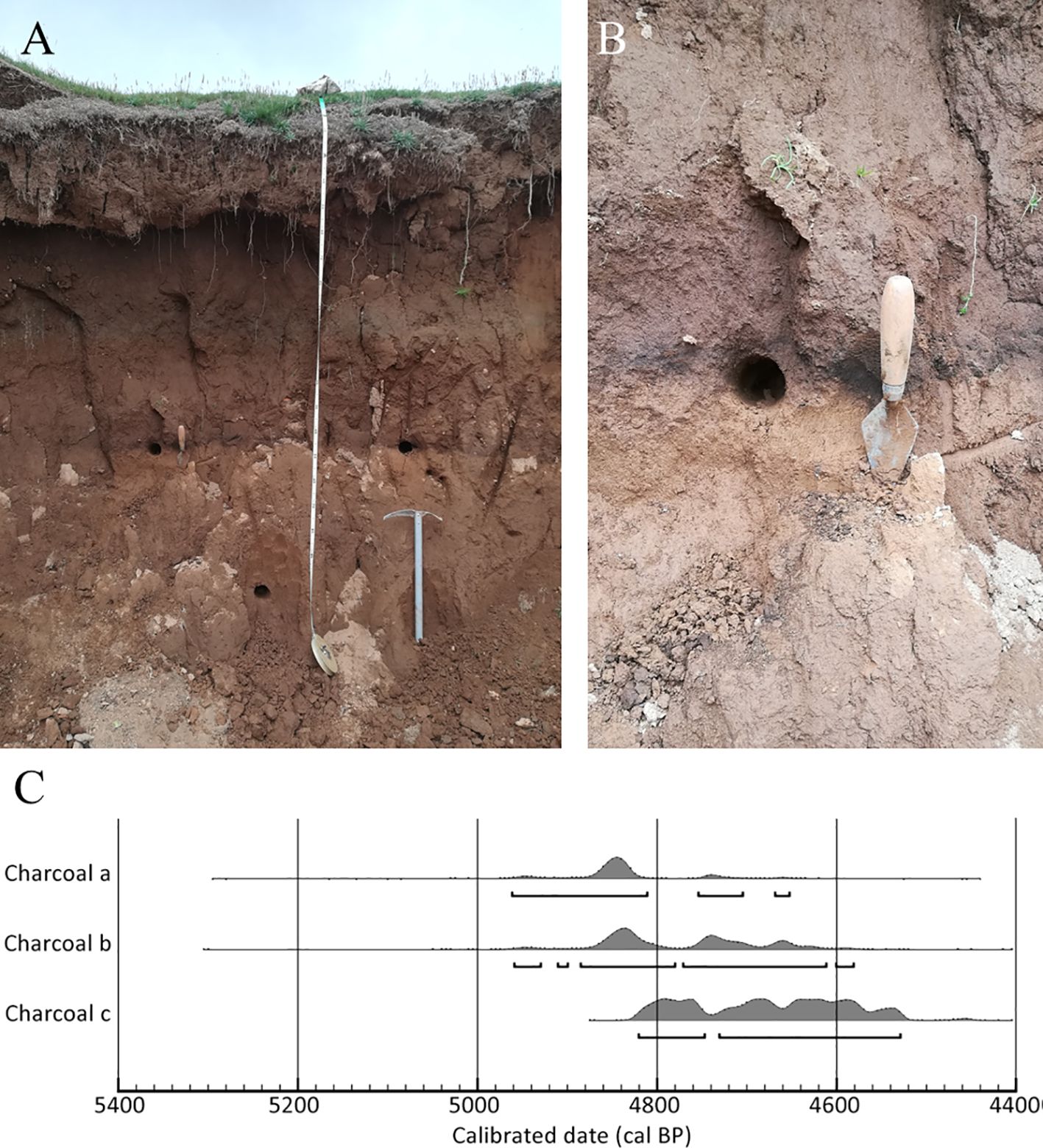 Photo A shows an exposed soil profile with a measuring tape and pickaxe for scale. Photo B offers a closer view of a soil layer with a tool inserted into the wall. The graph C displays calibrated radiocarbon dates for charcoal samples labeled as a, b, and c, along a timeline from 5400 to 4400 calibrated years before present (cal BP).