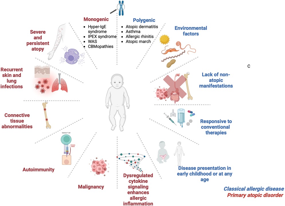 Diagram showing differences between classical allergic disease and primary atopic disease. It includes indicators like monogenic causes (e.g., Hyper-IgE syndrome), severe atopy, recurrent infections, autoimmunity, and more complex manifestations in primary atopic disease, contrasted with polygenic causes, environmental factors, and lack of non-atopic manifestations in classical allergic disease. Central image of a child surrounded by these factors.