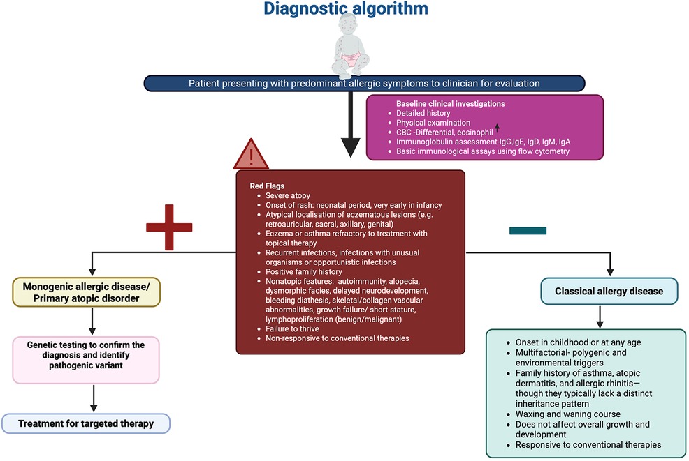 Diagnostic algorithm for patients with allergic symptoms: \n\n- Initial assessment includes detailed history, physical examination, CBC with eosinophil count, immunoglobulin assessment, and flow cytometry immunological assays. \n- Red flags: severe atopy, early rash onset, atypical eczema locations, therapy-resistant eczema/asthma, recurrent or unusual infections, positive family history, nonatopic features, and therapy non-response.\n- Pathways: \n - For red flags, pursue genetic testing for monogenic allergic diseases, leading to tailored therapy.\n - For no red flags, diagnose as classical allergy disease, characterized by onset at any age, multifactorial triggers, and response to conventional therapies.