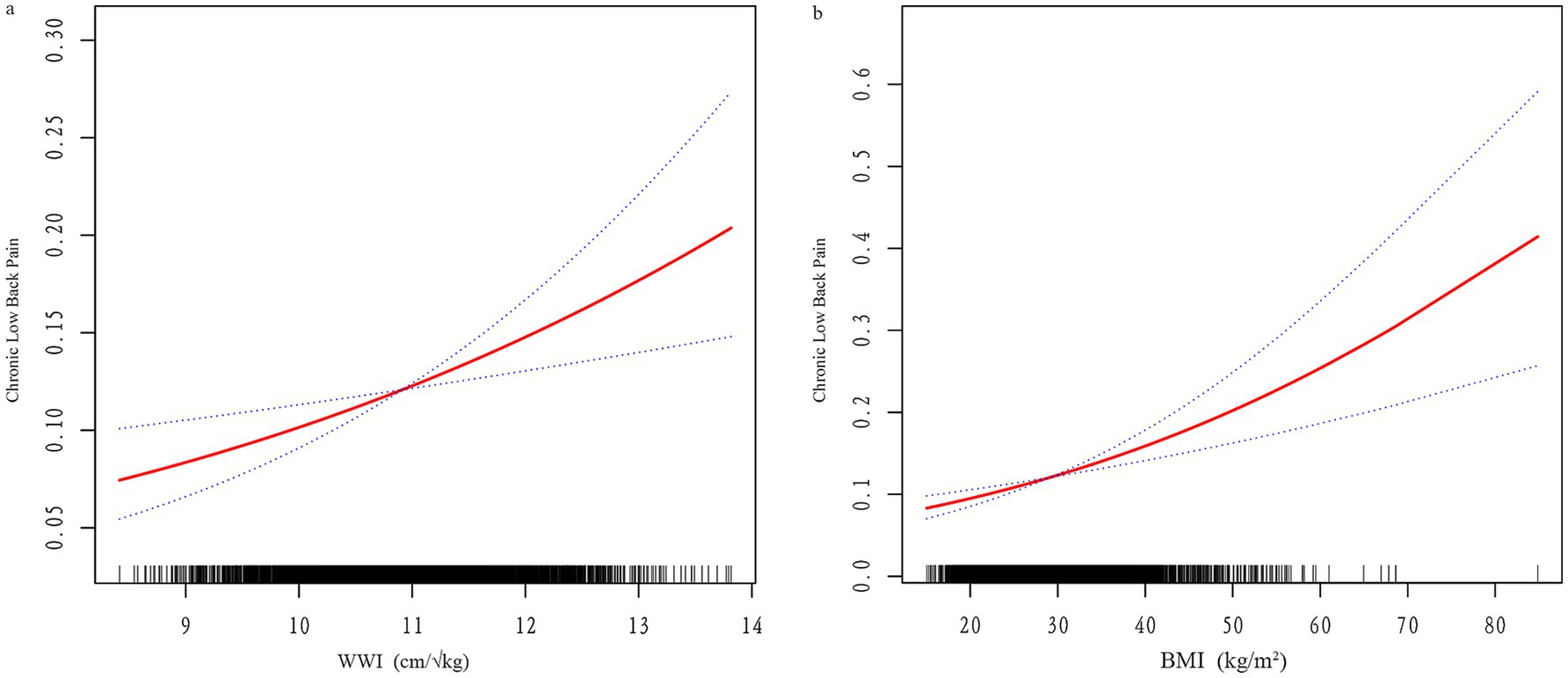 Two side-by-side graphs show the relationship between chronic low back pain and two variables: WWI (centimeters per kilogram) on the left, and BMI (kilograms per square meter) on the right. Both graphs have a red line indicating a positive trend, with blue dotted lines representing confidence intervals. The x-axis for the left graph ranges from 9 to 14 WWI, while the right graph ranges from 20 to 80 BMI. The y-axis for the left graph ranges from 0.05 to 0.30 for chronic low back pain, and the right graph ranges from 0 to 0.6.