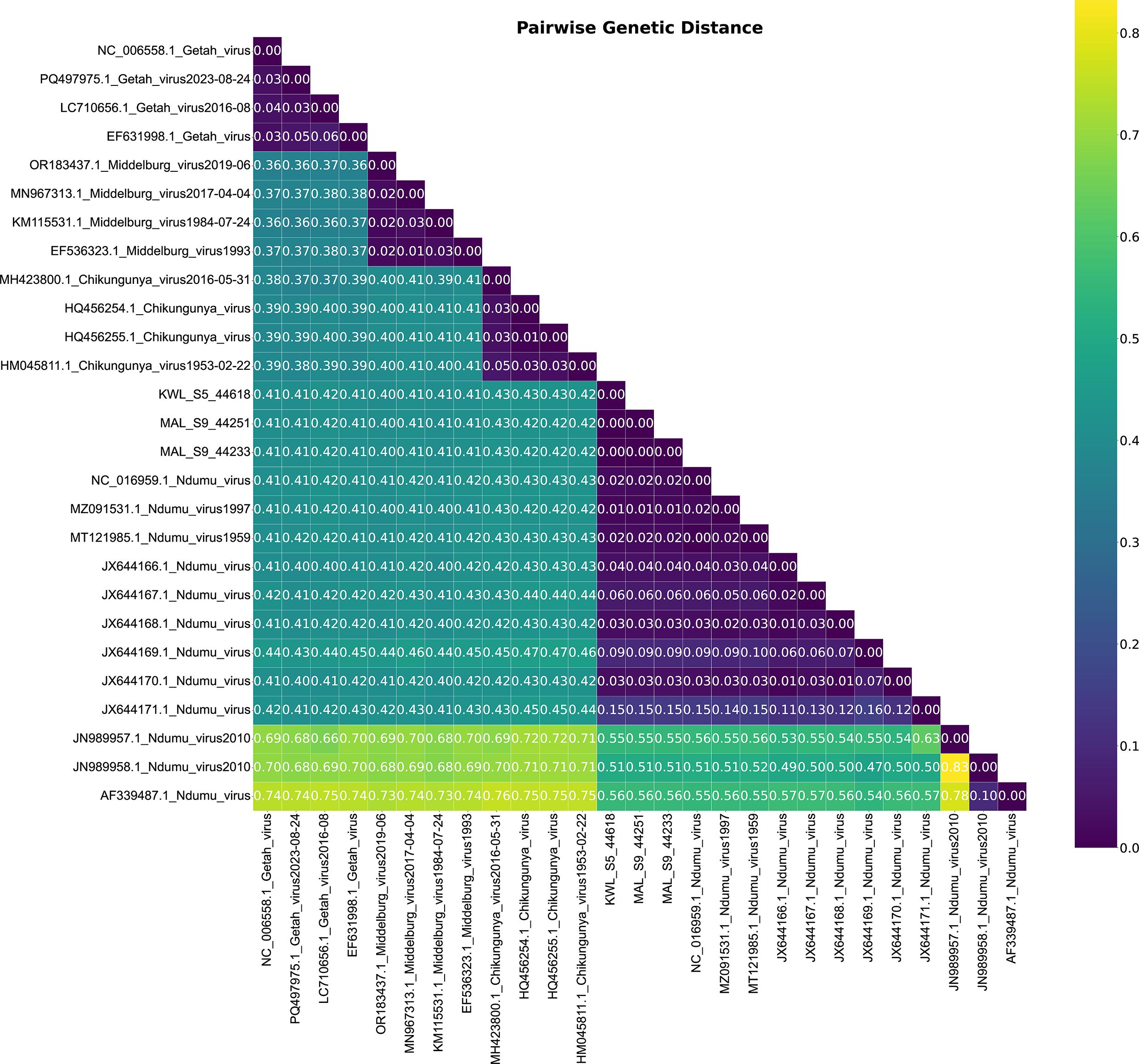 Heatmap illustrating pairwise genetic distances among various viruses. The lower triangular matrix shows distances, with numbers from 0 to 1. Rows and columns are labeled with virus names and identifiers. Colors range from purple (low distance) to yellow (high distance). A color bar on the right represents the scale from 0.0 to 1.0.