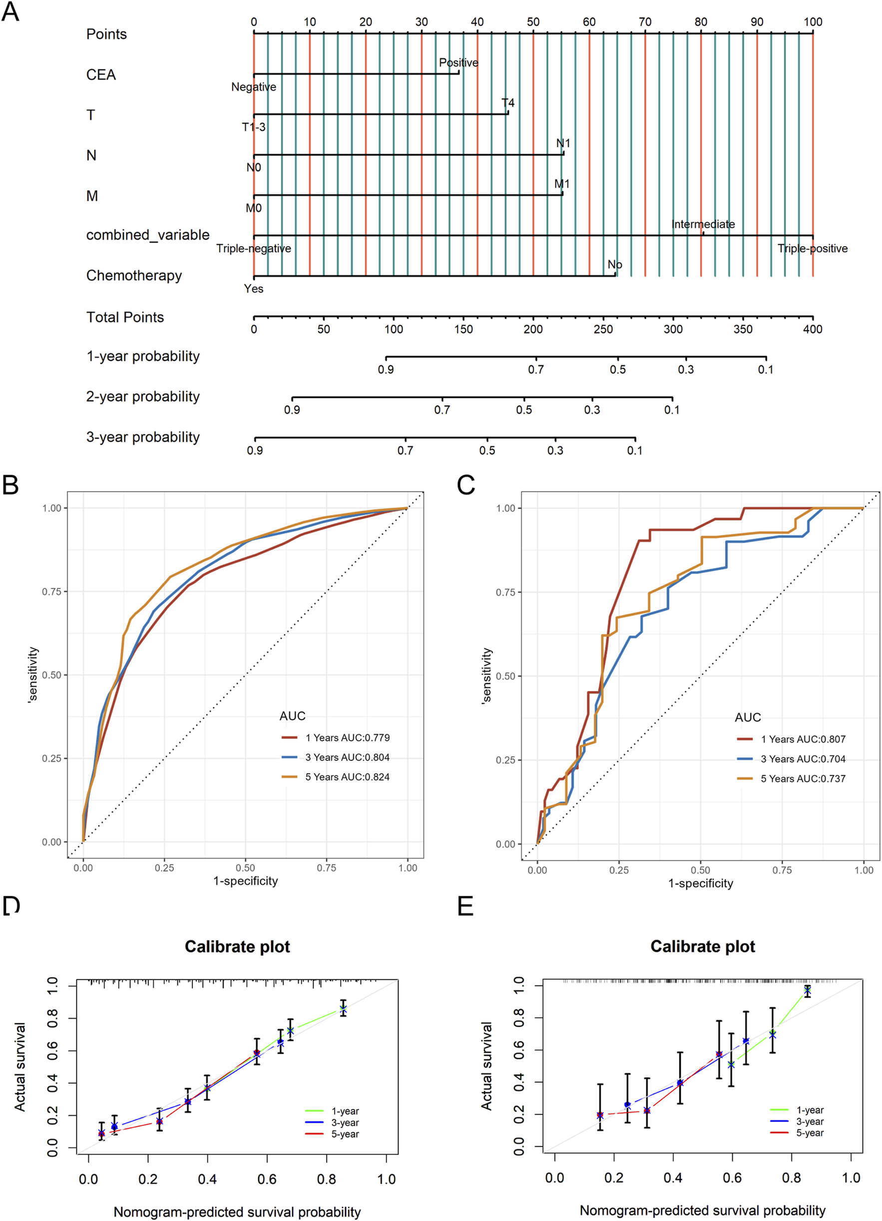 Panel A shows a nomogram for predicting survival probabilities based on different variables like CEA, T, N, M stages, combined variables, and chemotherapy. Panels B and C depict receiver operating characteristic (ROC) curves indicating area under the curve (AUC) values for predicting survival at one, three, and five years, with higher AUCs representing better model performance. Panels D and E present calibration plots comparing actual survival with nomogram-predicted probabilities over the same periods, showing close alignment for predictive accuracy.