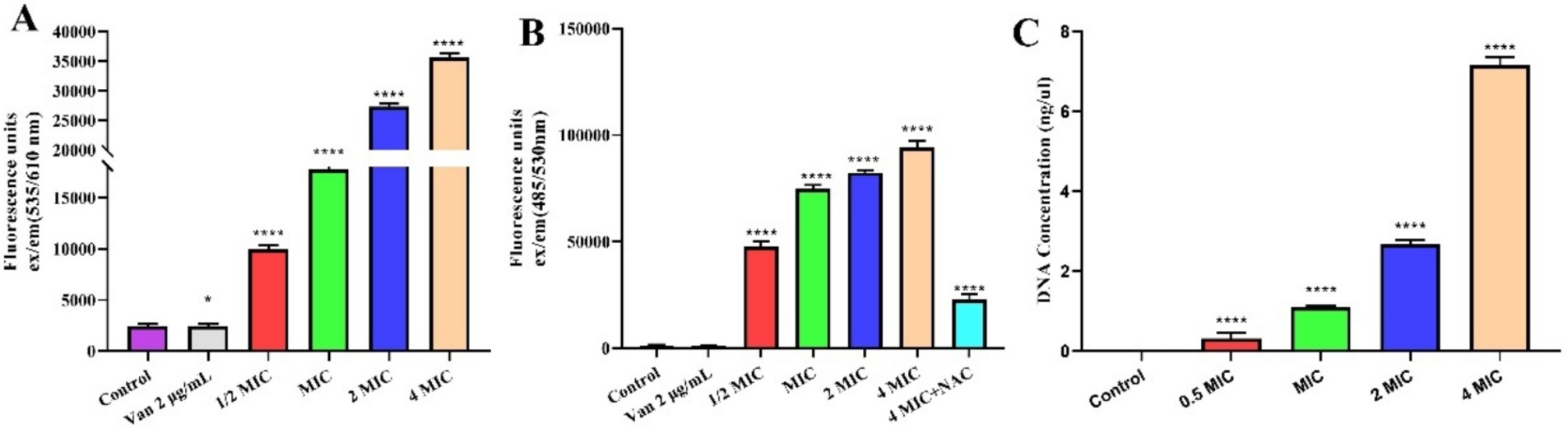Three bar graphs demonstrate various measurements across different concentrations. Graph A shows fluorescence units peaking at higher concentrations (4 MIC) with significant differences noted. Graph B also shows fluorescence peaking at 4 MIC, with various conditions yielding differing results. Graph C illustrates DNA concentration, increasing with higher MICs, peaking at 4 MIC. The graphs highlight the concentration effect on respective metrics.