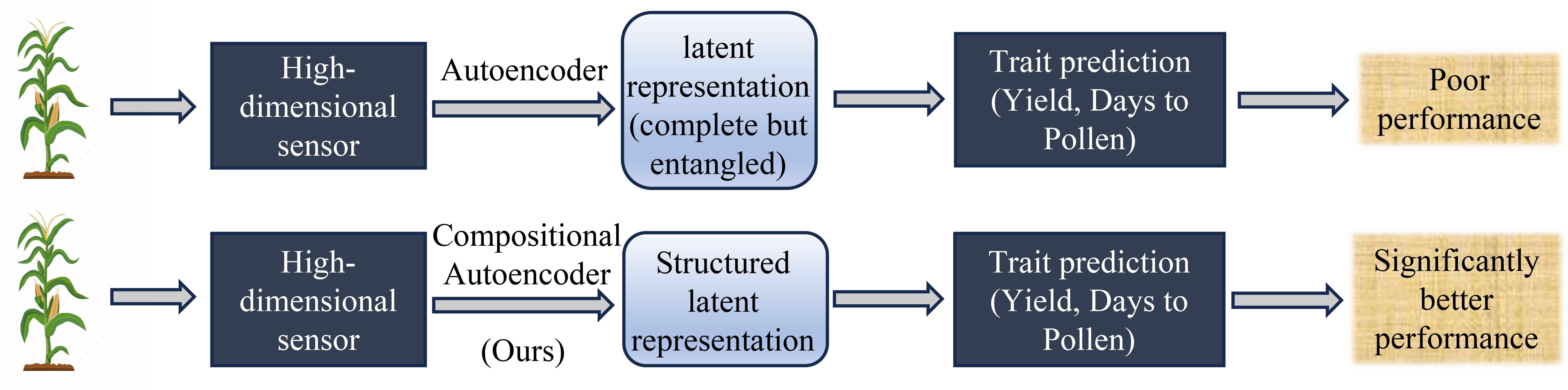 Flowchart comparing two methods for trait prediction in plants. The first uses an autoencoder with a high-dimensional sensor, leading to a latent representation and poor performance. The second method, using a compositional autoencoder, produces a structured latent representation and significantly better performance.