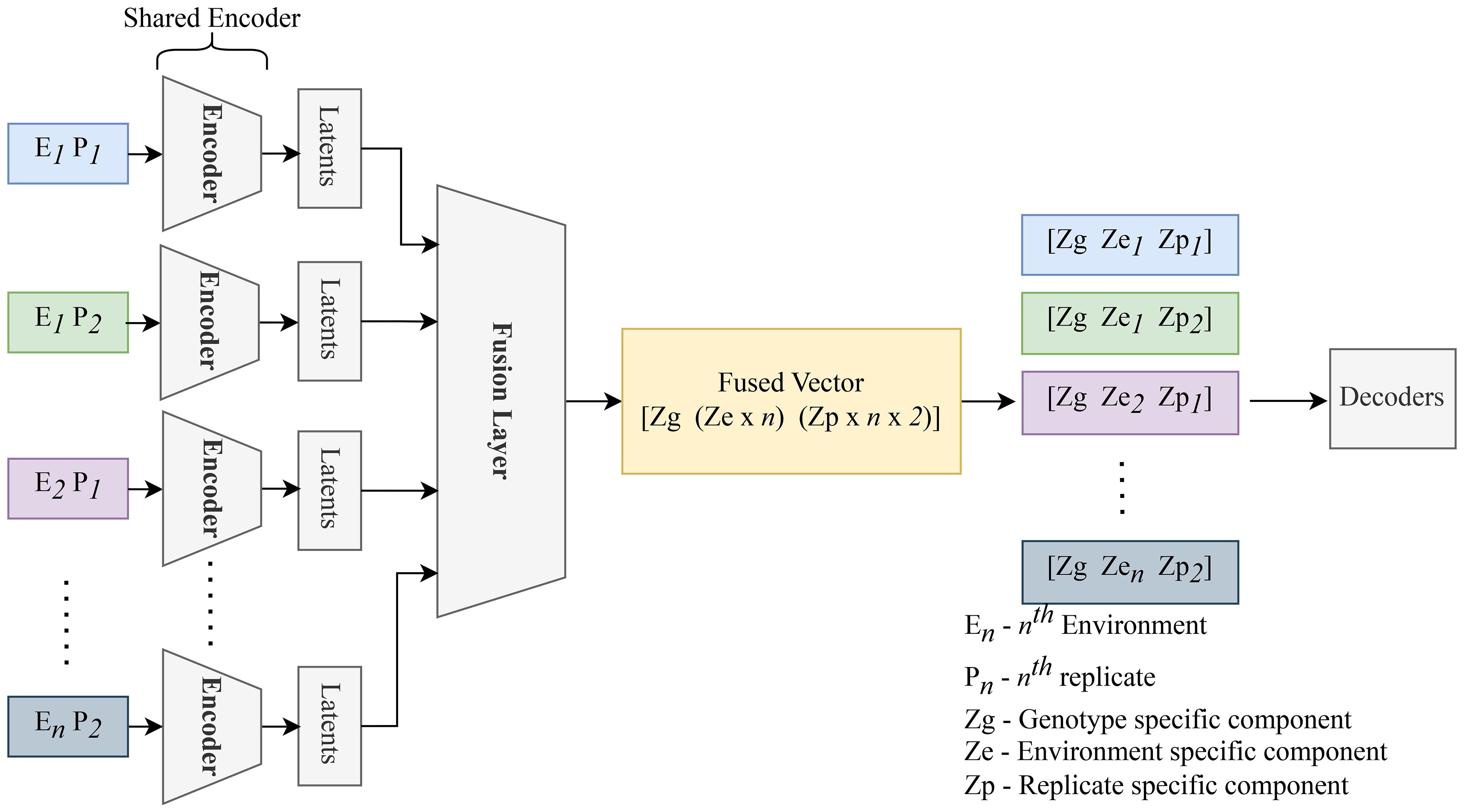 Diagram illustrating a shared encoder system that processes multiple input pairs, denoted as \(E_n P_n\), where \(E\) represents environment and \(P\) represents replicate. Each pair passes through an encoder to produce latent vectors, which are combined in a fusion layer to create a fused vector with components \(Zg\), \(Ze\), and \(Zp\). The fused vectors are decoded into specific components: genotype (\(Zg\)), environment (\(Ze\)), and replicate (\(Zp\)). The annotations explain the meanings of \(E_n\), \(P_n\), \(Zg\), \(Ze\), and \(Zp\).