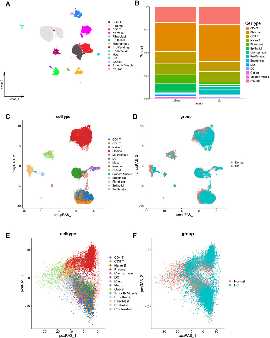 Panel A shows a UMAP plot displaying cell types in different colors. Panel B is a stacked bar chart comparing cell type distribution between normal and UC groups. Panel C presents a UMAP plot colored by cell type. Panel D shows a UMAP plot colored by group. Panel E features a PCA plot colored by cell type. Panel F displays a PCA plot colored by group, with legend indicating normal and UC groups.