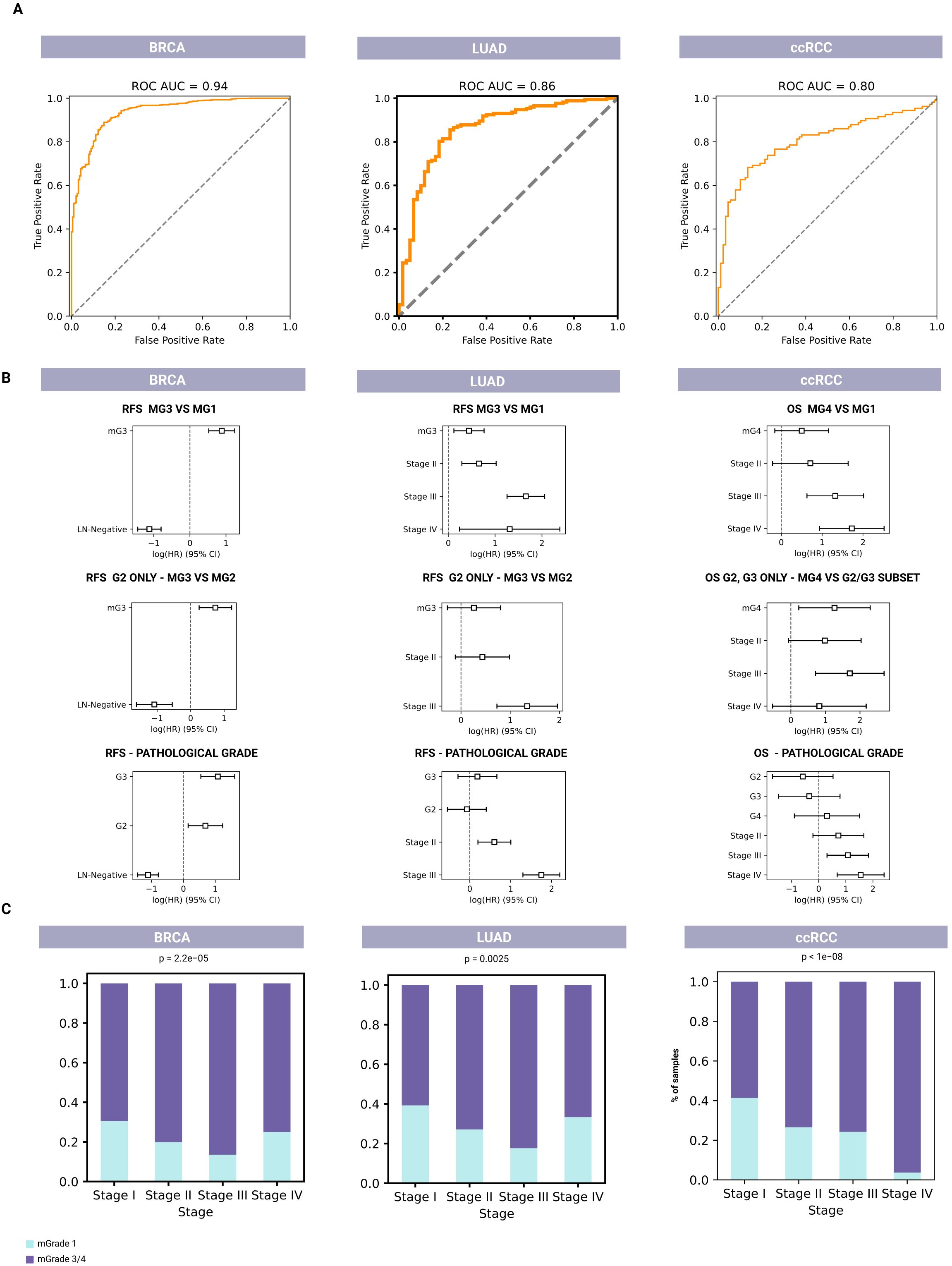 Panel A shows ROC curves for BRCA, LUAD, and ccRCC with AUC values of 0.94, 0.86, and 0.80, respectively. Panel B presents forest plots illustrating risk factor comparisons including pathological grade and stages for BRCA, LUAD, and ccRCC. Panel C contains bar graphs displaying the proportion of samples across cancer stages, with significant p-values for each cancer type.