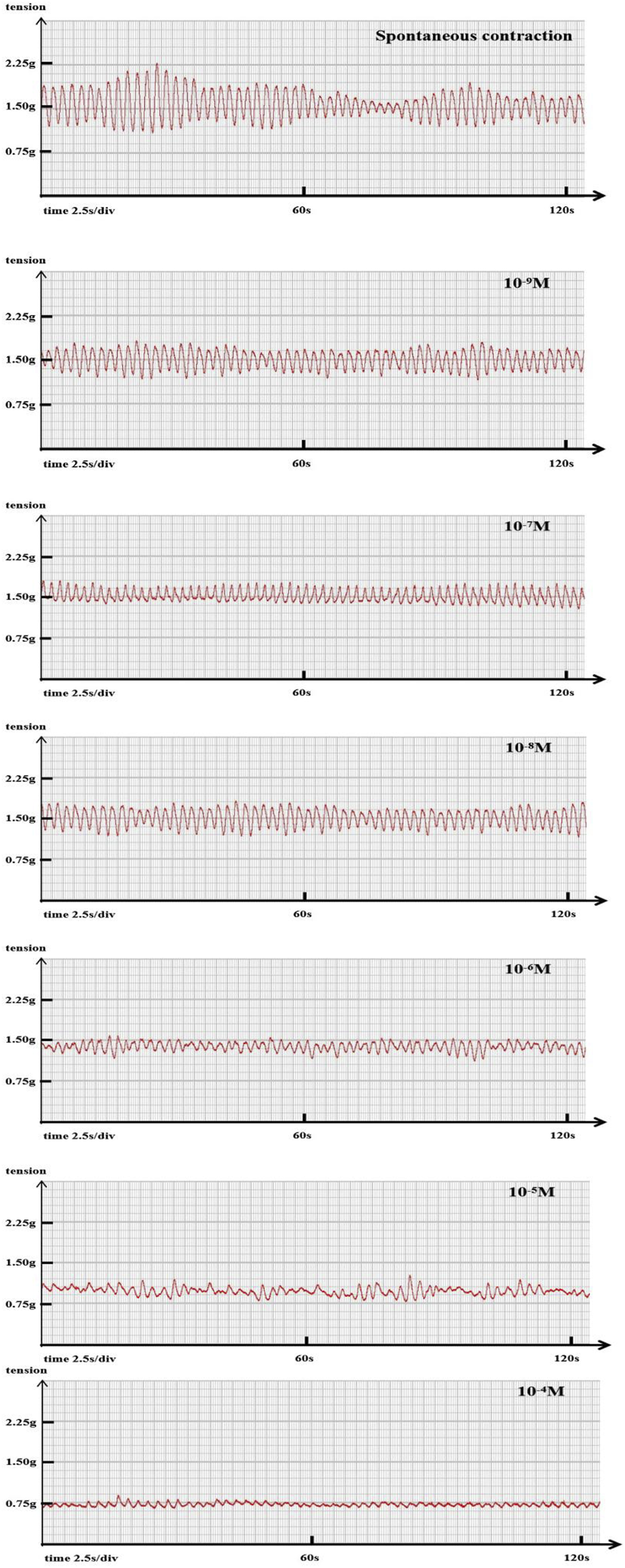 Six line graphs display tension over time, showing the effect of increasing concentrations from spontaneous contraction to 10^-4M. The tension generally decreases as concentration increases, with fluctuations becoming less pronounced in higher concentrations. Each graph is labeled with time in seconds and tension in grams.