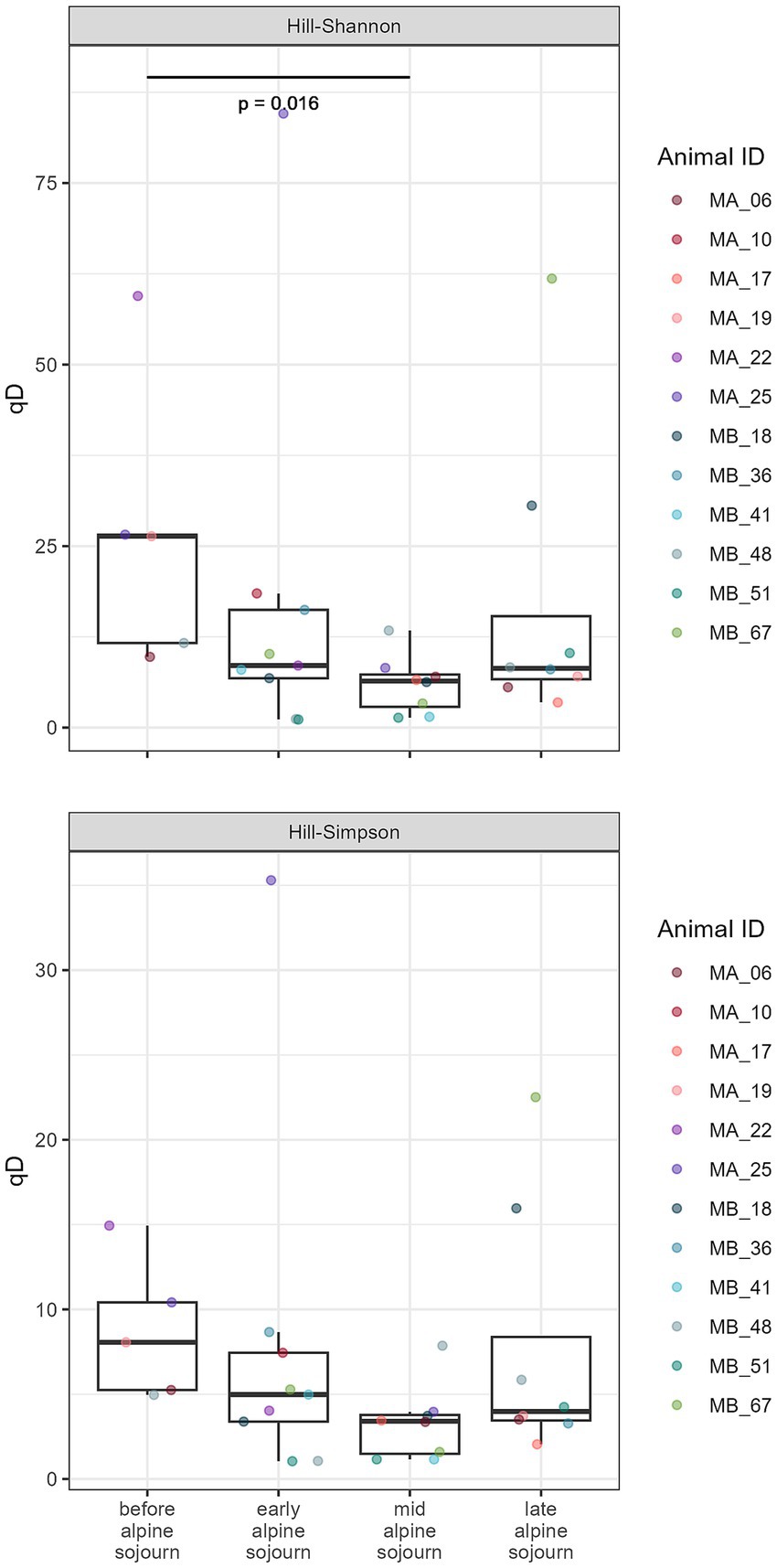 Two boxplot charts display qD values for different time periods of alpine sojourn: before, early, mid, and late. The top chart shows Hill-Shannon indices with a significant p-value of 0.016, and the bottom chart shows Hill-Simpson indices. Data points, represented by different colors, correspond to various animal IDs.