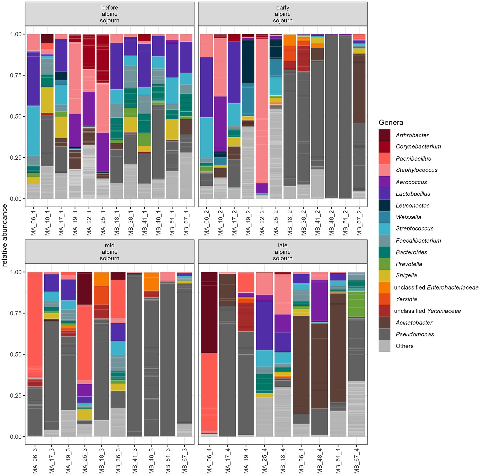 Bar plot showing the relative abundance of various genera over four stages: before, early, mid, and late alpine sojourn. Each panel displays diverse microbial compositions, with color-coded genera identified in the legend, including Arthrobacter, Corynebacterium, and others. The x-axis lists individual samples, while the y-axis indicates relative abundance from zero to one.