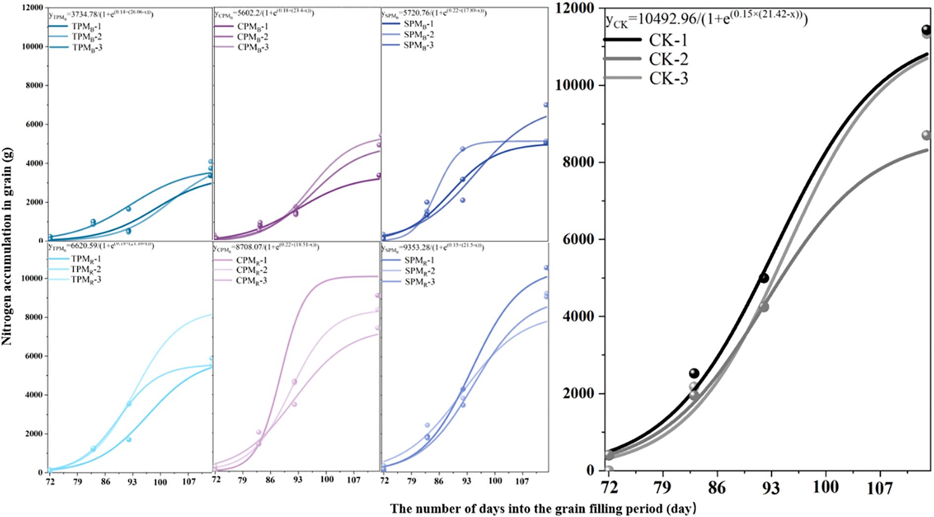 Graphs showing nitrogen accumulation in grains over days into the grain filling period. Five panels display curves for different treatments labeled TPM and SPM, with variations in nitrogen accumulation rates. The right panel shows three curves for CK treatments with higher nitrogen accumulation, all peaking around day one hundred seven.