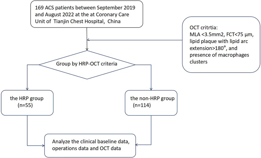 Flowchart depicting the process of grouping 169 ACS patients from Tianjin Chest Hospital (September 2019 to August 2022) by HRP-OCT criteria. It splits patients into HRP group (55) and non-HRP group (114) based on OCT criteria: MLA less than 3.5 mm², FCT less than 75 µm, lipid plaque with lipid arc extension over 180 degrees, and presence of macrophage clusters. Clinical baseline, operations, and OCT data are analyzed.
