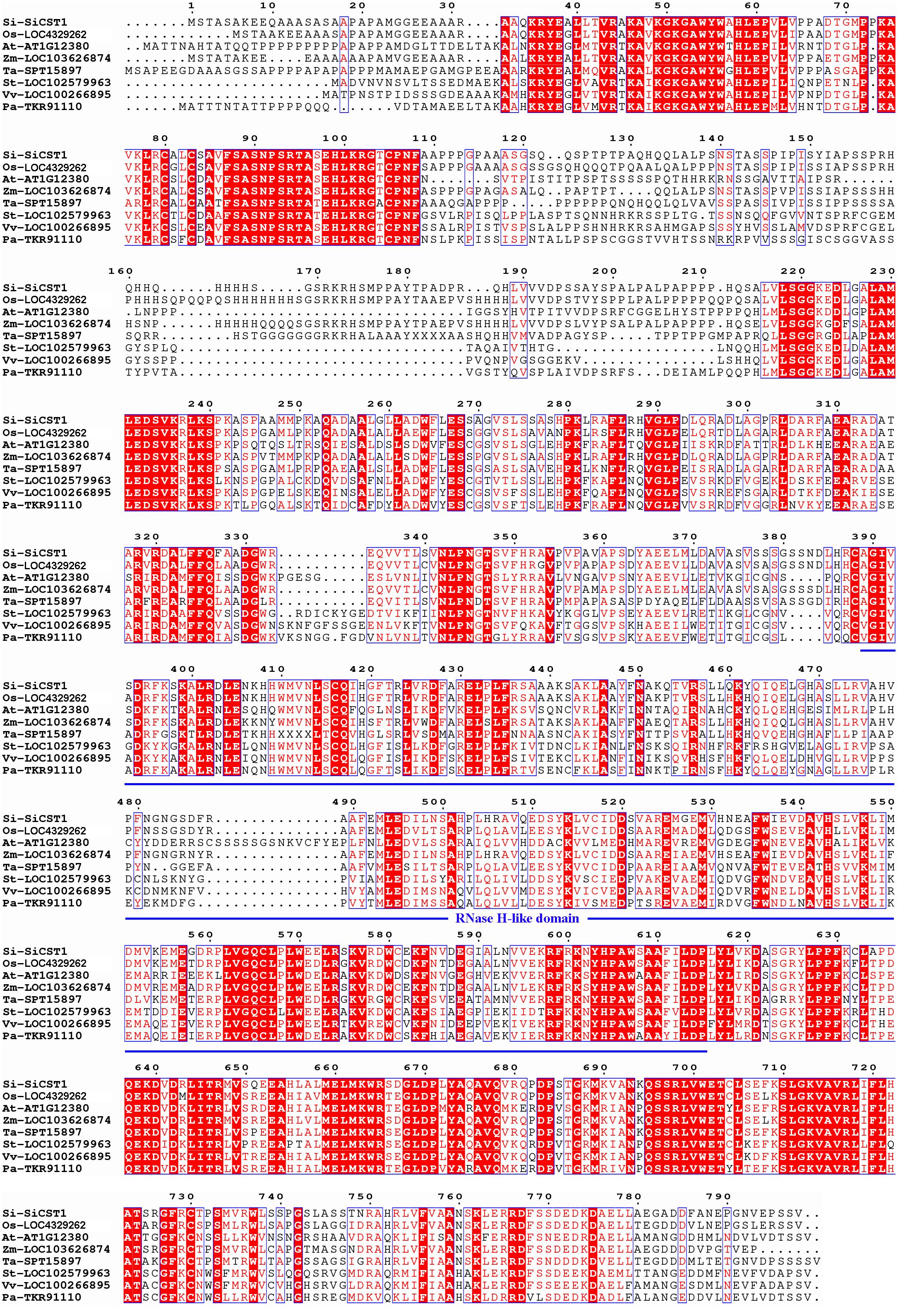 A sequence alignment of multiple protein sequences is shown, highlighting conserved regions in red. The sequences are labeled with identifiers on the left. Key domains, such as the RNase H-like domain, are marked with annotations and lines. The alignment includes several rows, each indicating part of the sequences with alignment positions labeled at every tenth amino acid. Dots represent gaps in the alignment.