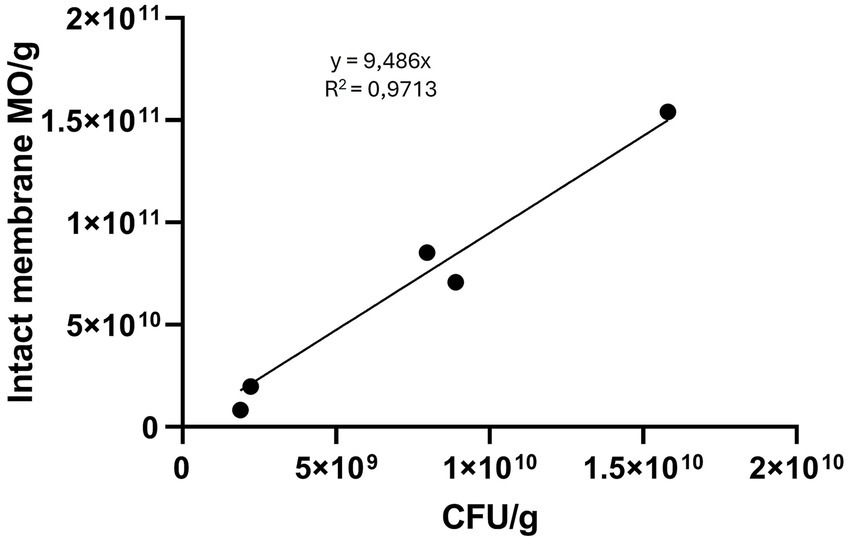 Scatter plot showing the relationship between CFU per gram on the x-axis and intact membrane MO per gram on the y-axis. Data points form a linear trend with the equation y = 9.486x and a correlation coefficient R² = 0.9713.