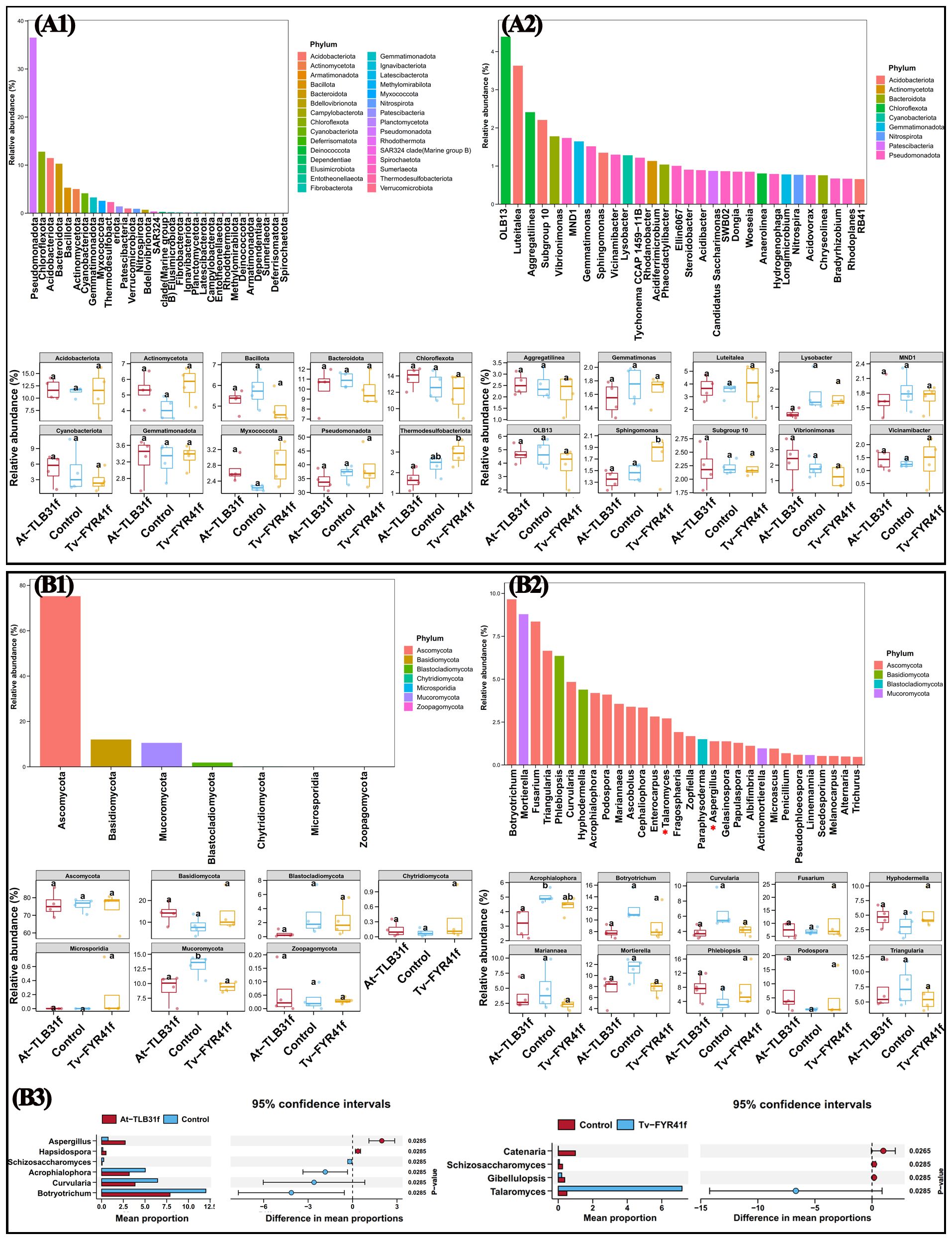 Graphs and charts display microbial phyla and genera abundance across different treatments. Panels A1 and A2 show bacterial abundance, while B1 and B2 focus on fungi. Each panel includes bar charts for overall phyla abundance and individual box plots comparing group treatments. Panel B3 presents mean proportion differences with 95% confidence intervals for the selection of fungi. A color-coded legend identifies phyla.