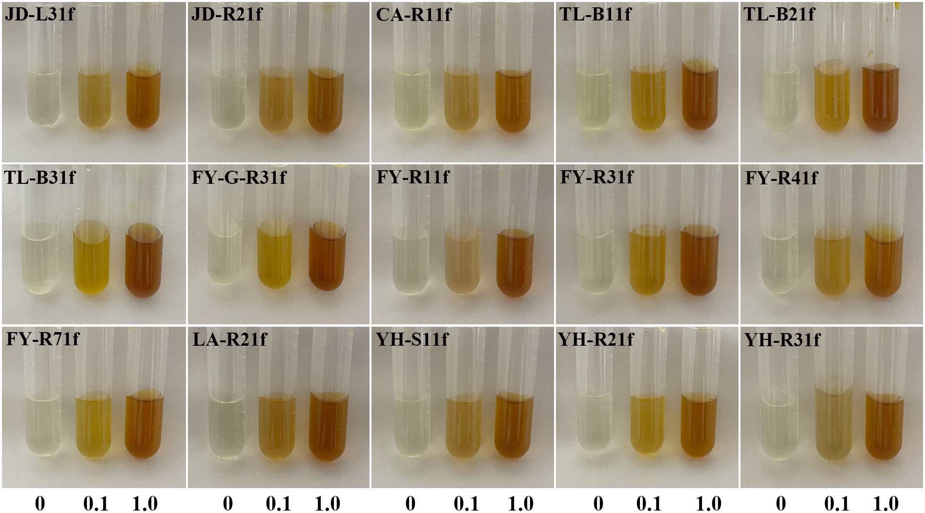 A grid of test tubes containing liquids of varying colors, labeled with different codes. Each set of three tubes shows a color gradient from clear to darker shades. Labels and values like “0”, “0.1”, and “1.0” indicate tryptophan concentrations.