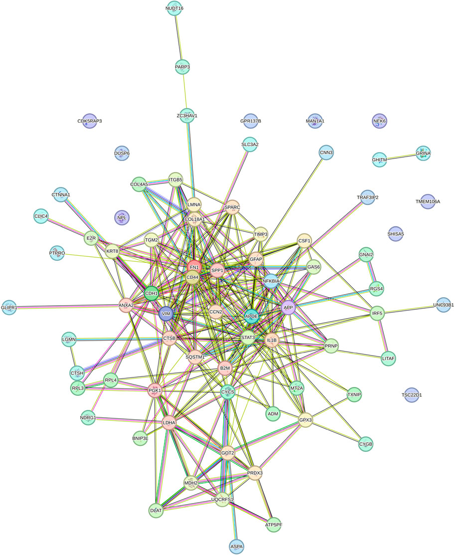 A complex network diagram illustrating interactions between various proteins, each represented by nodes connected with multiple colored lines. Nodes are labeled with protein names, and lines vary in color indicating different types of interactions or relationships. The diagram's layout creates a visually intricate web of connectivity on a black background.