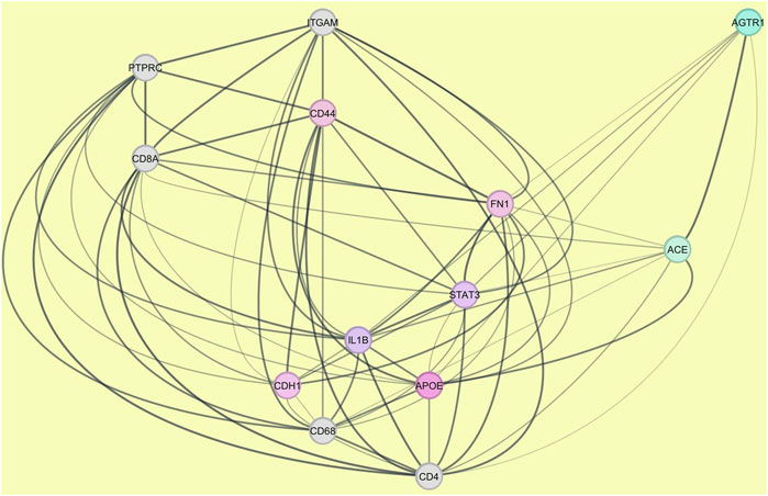 Network diagram illustrating interactions between various nodes labeled with protein or gene names such as ITGAM, CD44, and AGTR1. Lines indicate connections, with some nodes clustered, colored in shades of pink, purple, and blue against a pale yellow background.