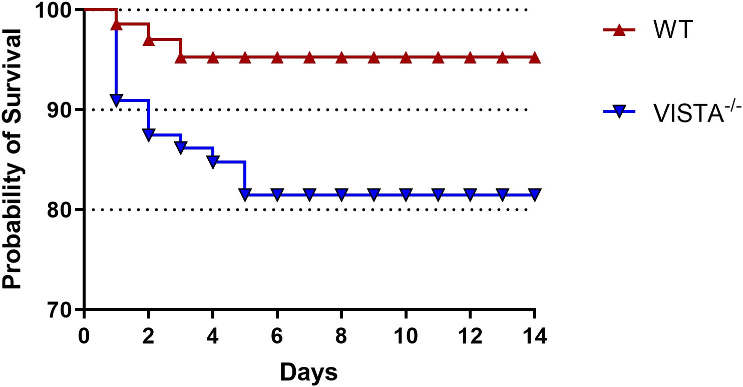Survival probability graph comparing WT and VISTA-/- over 14days. WT line, in red with upward triangles, shows stable survival near 100%. VISTA-/- line, in blue with downward triangles, shows decreasing survival from 100% to 80%.