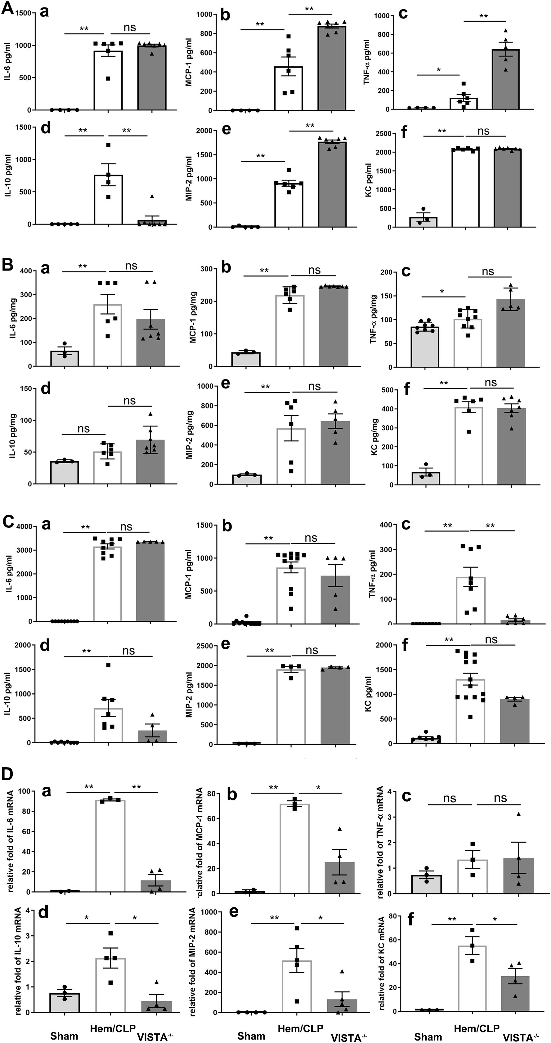 Bar graphs depict various inflammatory markers and mRNA levelsin different experimental groups: Sham, Hem/CLP, and VISTA^-. Panels A, B, and C represent cytokine measurements (pg/ml or pg/mg) for IL-6, MCP-1, TNF-a, IL-10, MIP-2, and KC. Panel D shows relative fold changes in mRNA for the same markers. Key statistical differences between groups are noted with asterisks or “ns” for non-significance.