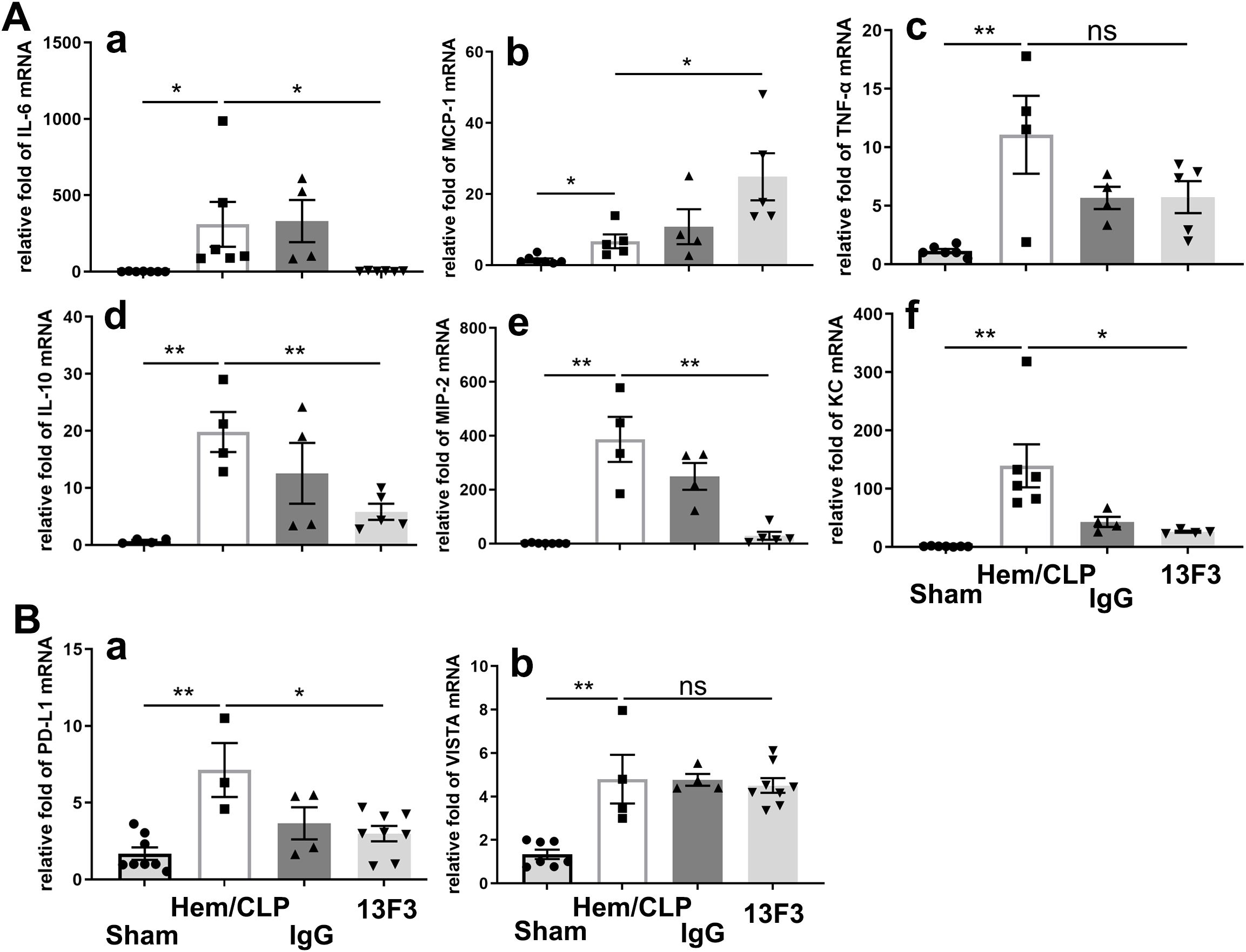 Bar graphs labeled A and B show relative mRNA fold expression ofvarious cytokines and receptors. Graph A contains sub-panels a to f, while B contains a and b.Data are grouped by “Sham,” “Hem/CLP IgG,” and “13F3.” Significant differences are noted with asterisks, and “ns” indicates non-significance. Error bars represent variability.
