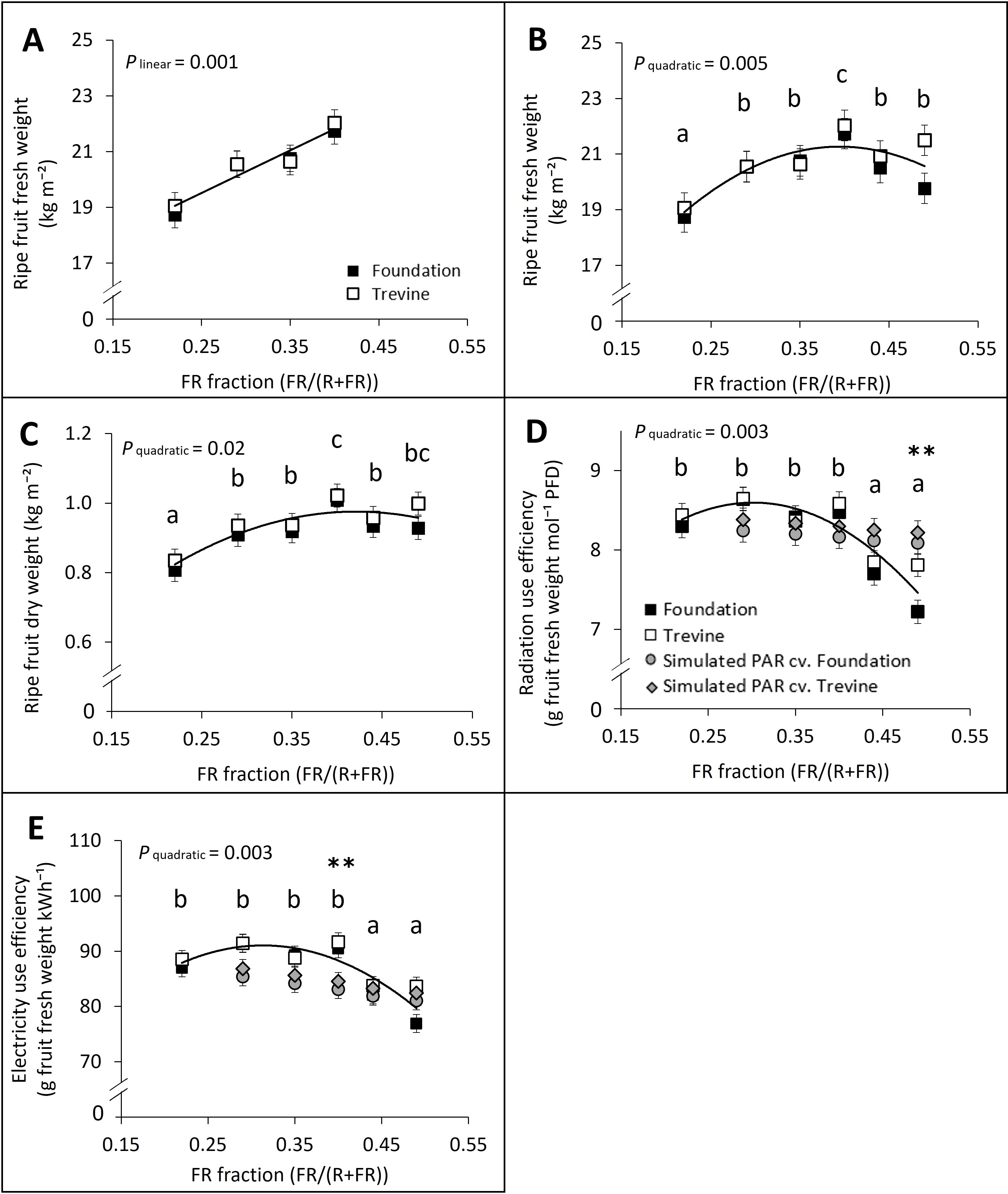 Five graphs labeled A to E illustrate the effects of FR fraction on various metrics for 'Foundation' and 'Trevine.' Graph A shows ripe fruit fresh weight increasing linearly. Graph B displays a quadratic trend in ripe fruit fresh weight. Graph C indicates a quadratic relationship in ripe fruit dry weight. Graph D shows a quadratic pattern in radiation use efficiency, with simulated lines for 'PAR cv. Foundation' and 'PAR cv. Trevine.' Graph E depicts a quadratic trend in electricity use efficiency. P-values are noted for each graph, with letter annotations indicating statistical significance.